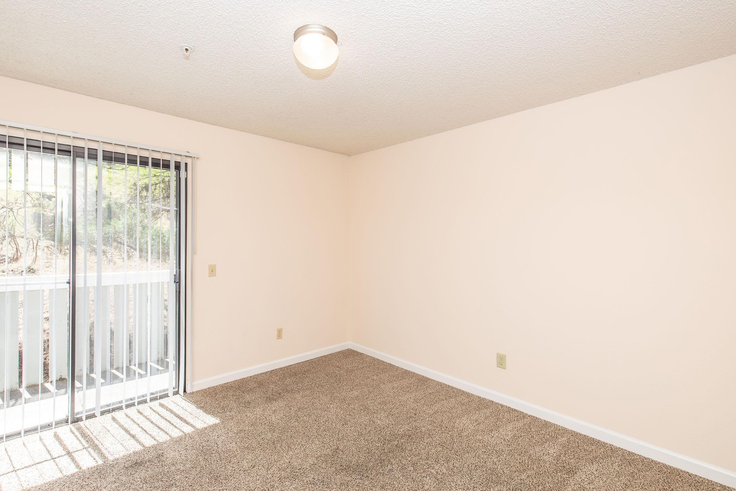 A spacious, empty room with light beige walls and a carpeted floor. There is a sliding glass door with vertical blinds leading to a balcony, allowing natural light to enter. The ceiling has a central light fixture, and the overall atmosphere is bright and inviting.