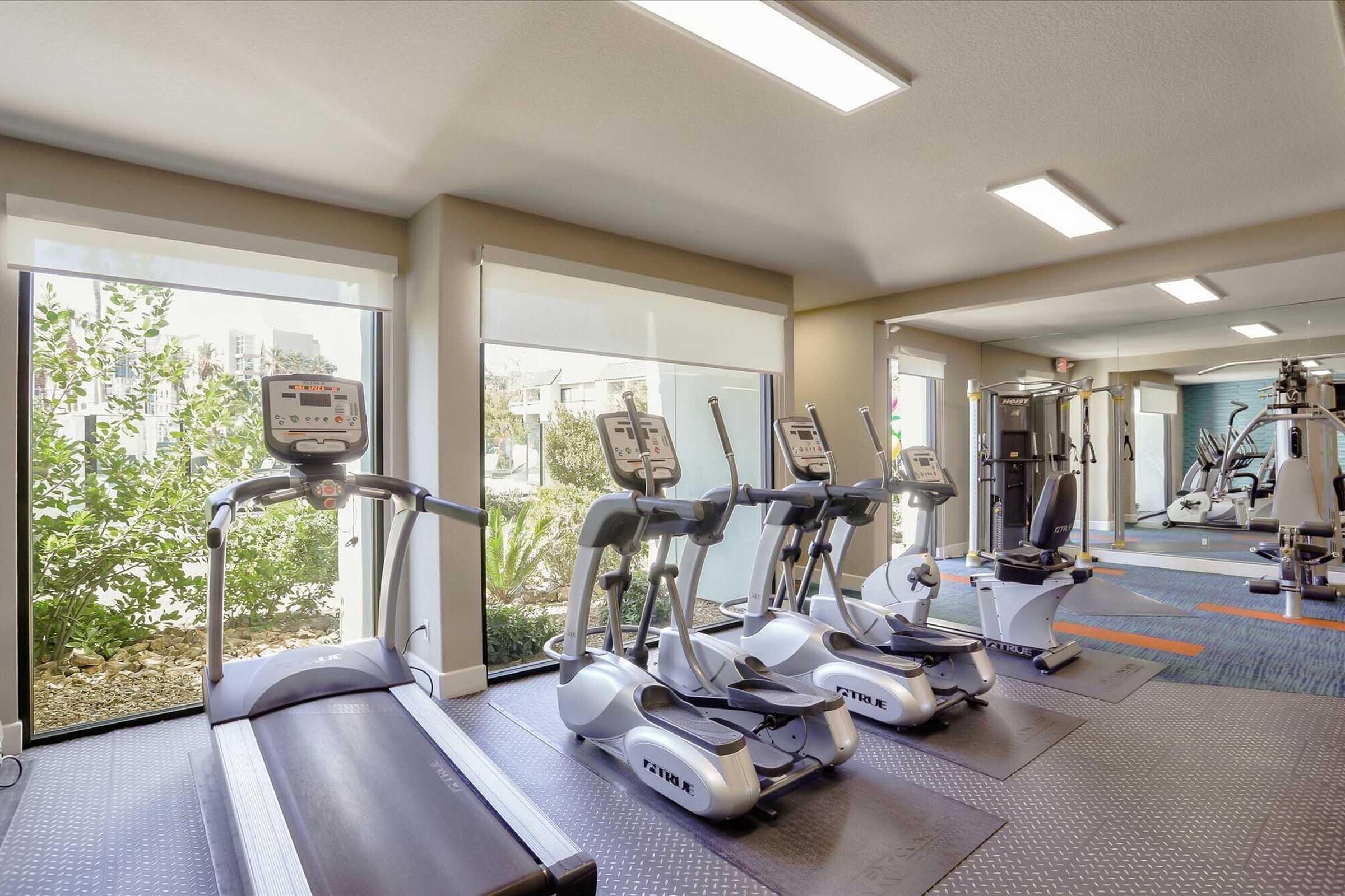 A bright gym interior featuring multiple elliptical machines and a treadmill, with large windows allowing natural light to enter. The space is neatly arranged, showcasing fitness equipment against a backdrop of green plants outside.