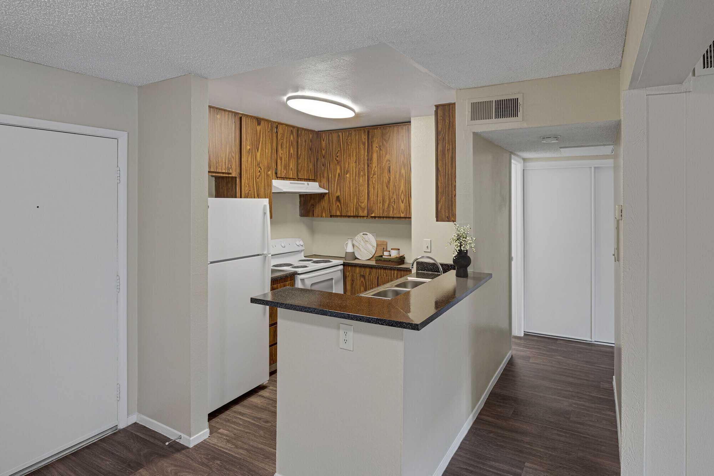 Modern kitchen with wooden cabinets, a white refrigerator, and a black countertop. Features a breakfast bar with a small plant as decoration. The space is well-lit with a circular ceiling light, and there's a view into a hallway with a closed door at the end. The flooring is dark wood.