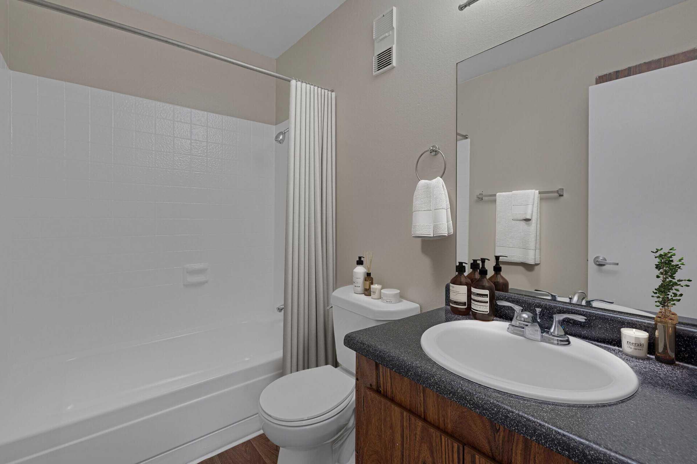 A clean and modern bathroom featuring a white bathtub with a shower, a toilet, and a sink with a dark countertop. There are toiletries on the counter, including soap dispensers and candles, along with a small plant. The walls are painted in neutral tones, creating a calming atmosphere.