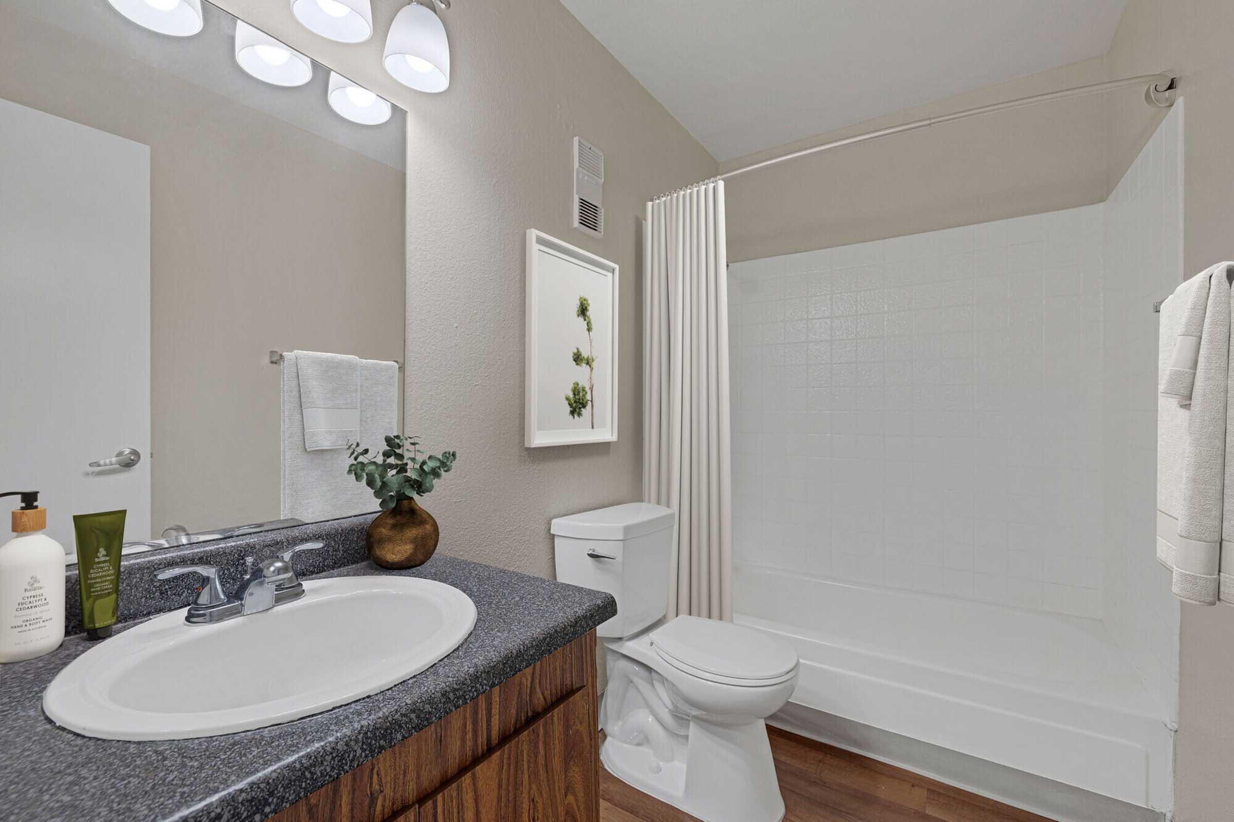 A clean and modern bathroom featuring a vanity with a sink, a mirror with bright lighting, and a shower area with a white curtain. The decor includes a small plant and decorative artwork. The flooring is wood-like, and the overall color scheme is neutral and inviting.