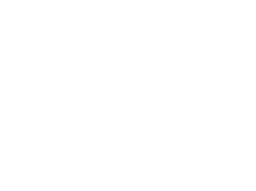 Preserve at Westchase ebrochure logo