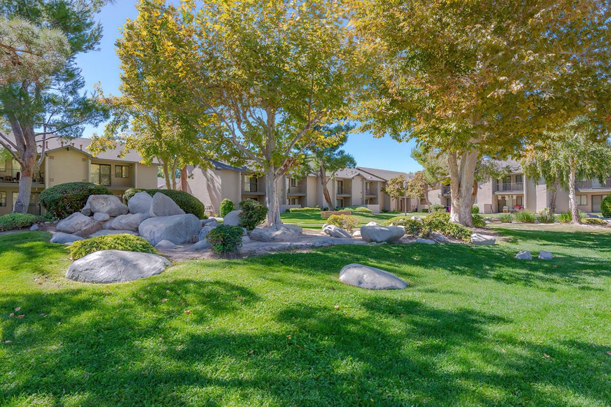 a large lawn in front of a tree