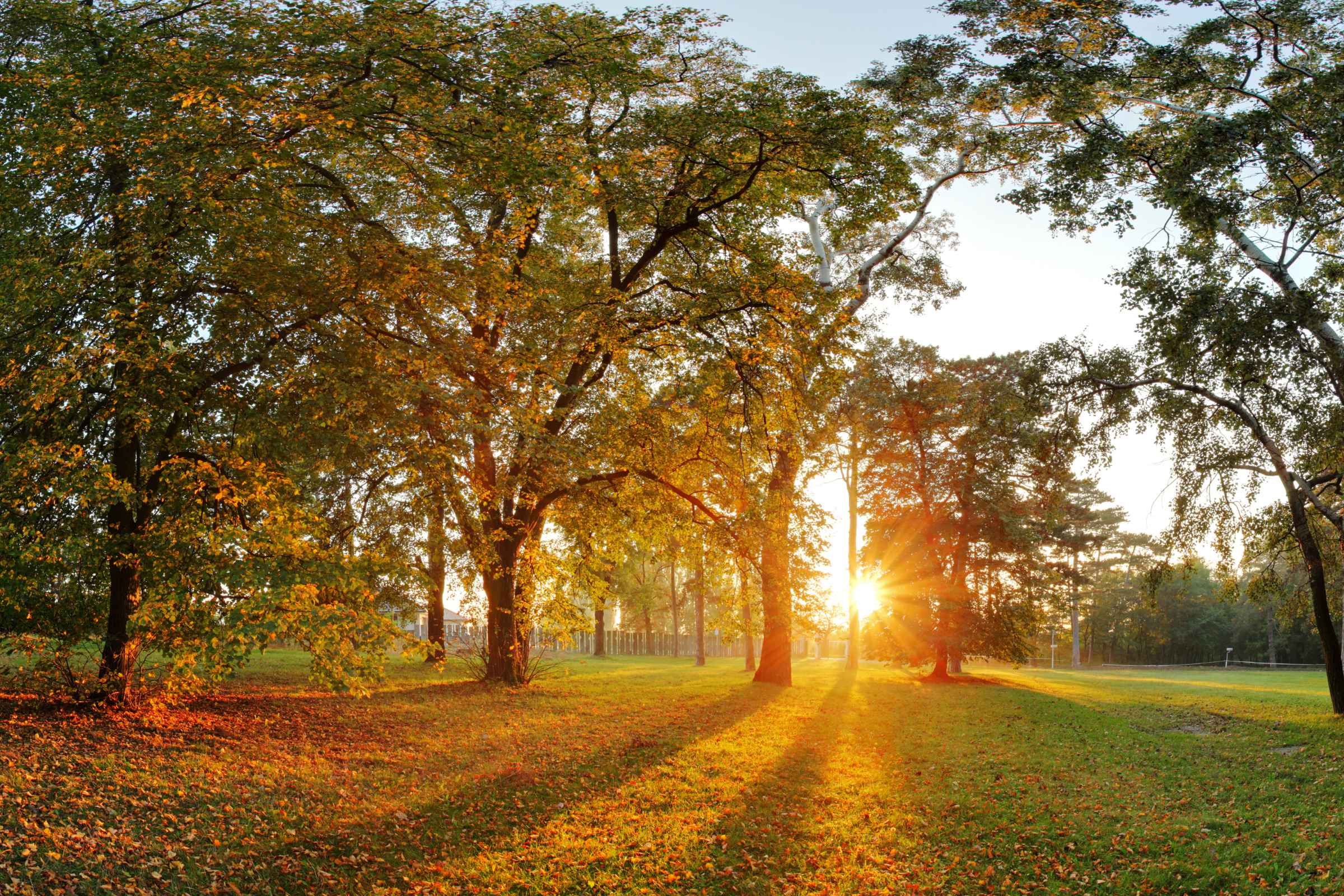 Home Trails of Dickson Apartments Dickson, TN