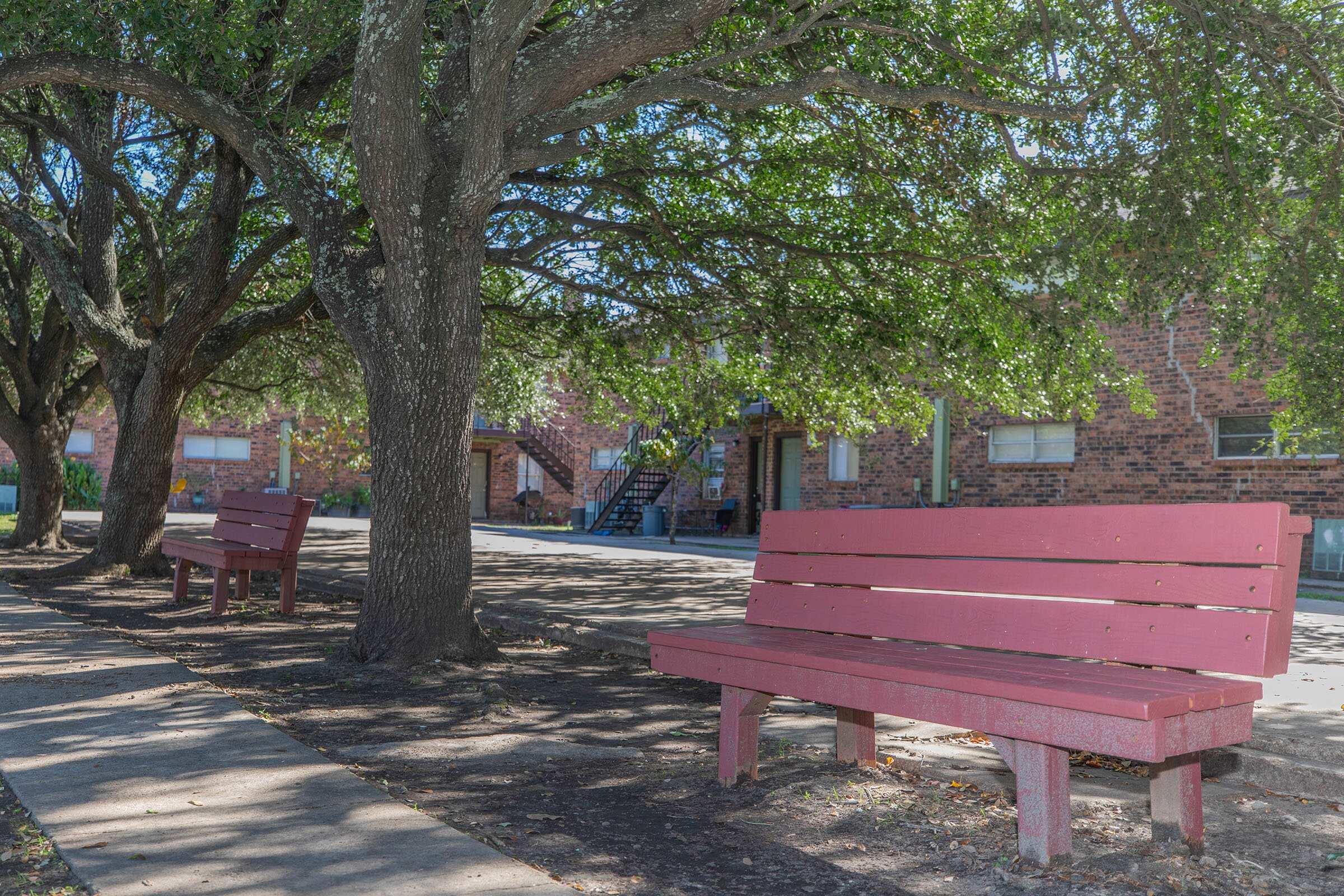 an empty park bench next to a tree