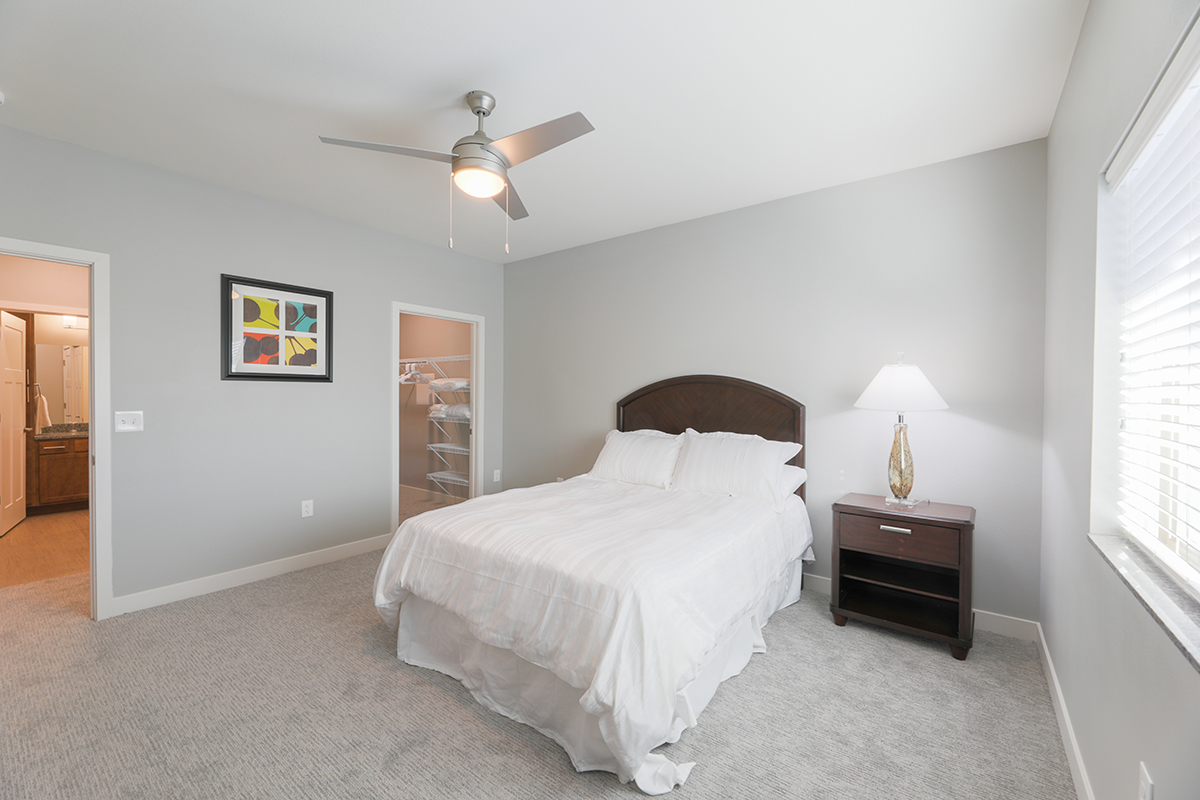 Apartment Features