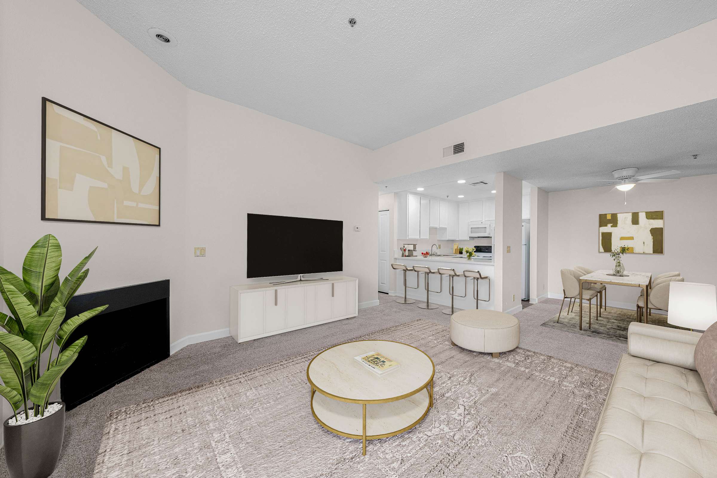 Apartment Features