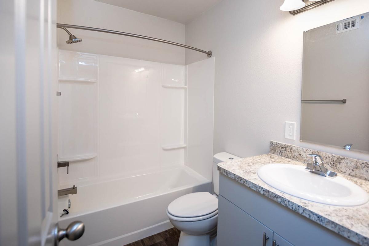 a shower that has a sink and a mirror