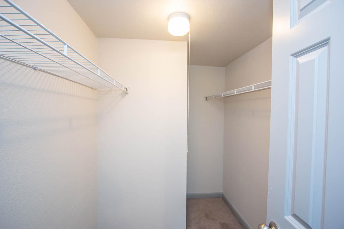 a view of the shower