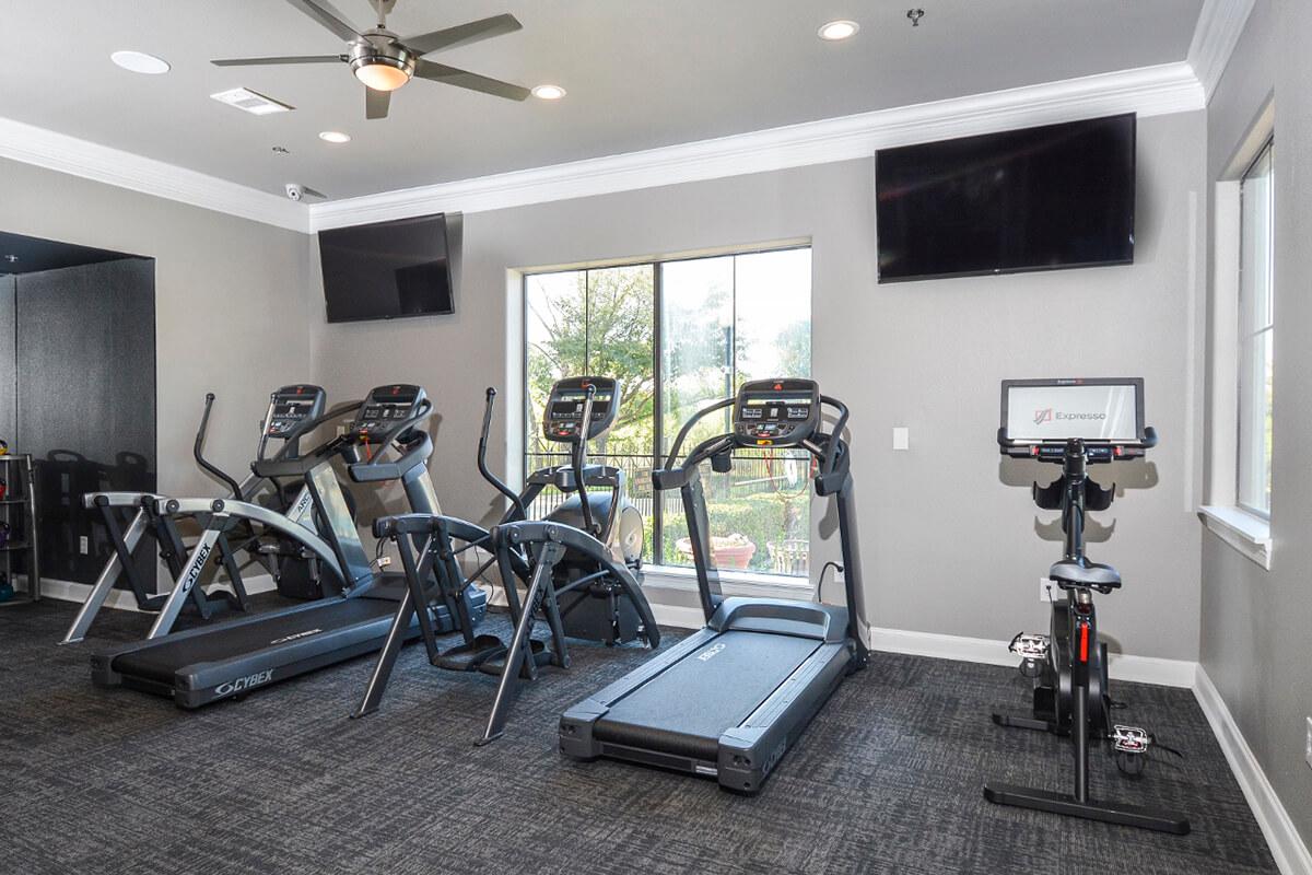 The Vineyards Apartments in Frisco, TX - Fitness Center 01.jpg
