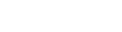 The Executive ebrochure logo