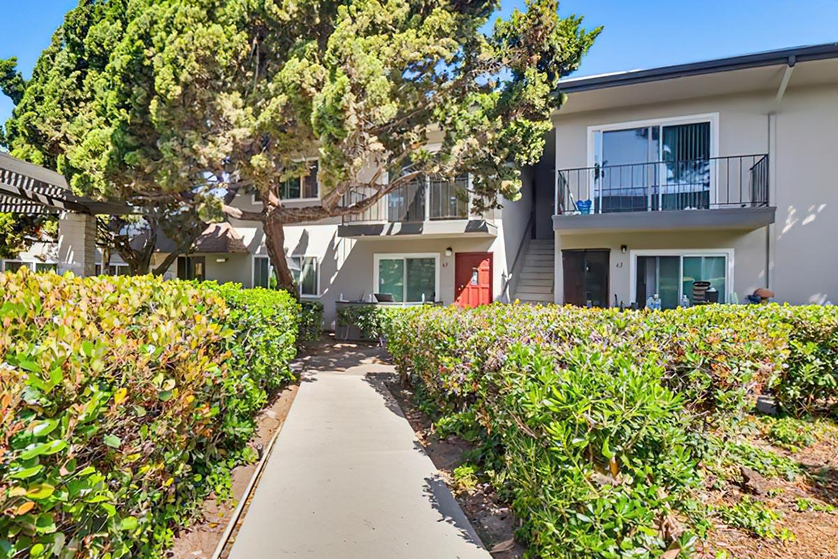 A walkway lined with greenery leads to a series of apartment buildings. Two of the buildings have balconies, and one features a bright red door. The area is sunny, with well-maintained shrubs and trees flanking the path, creating a pleasant residential atmosphere.