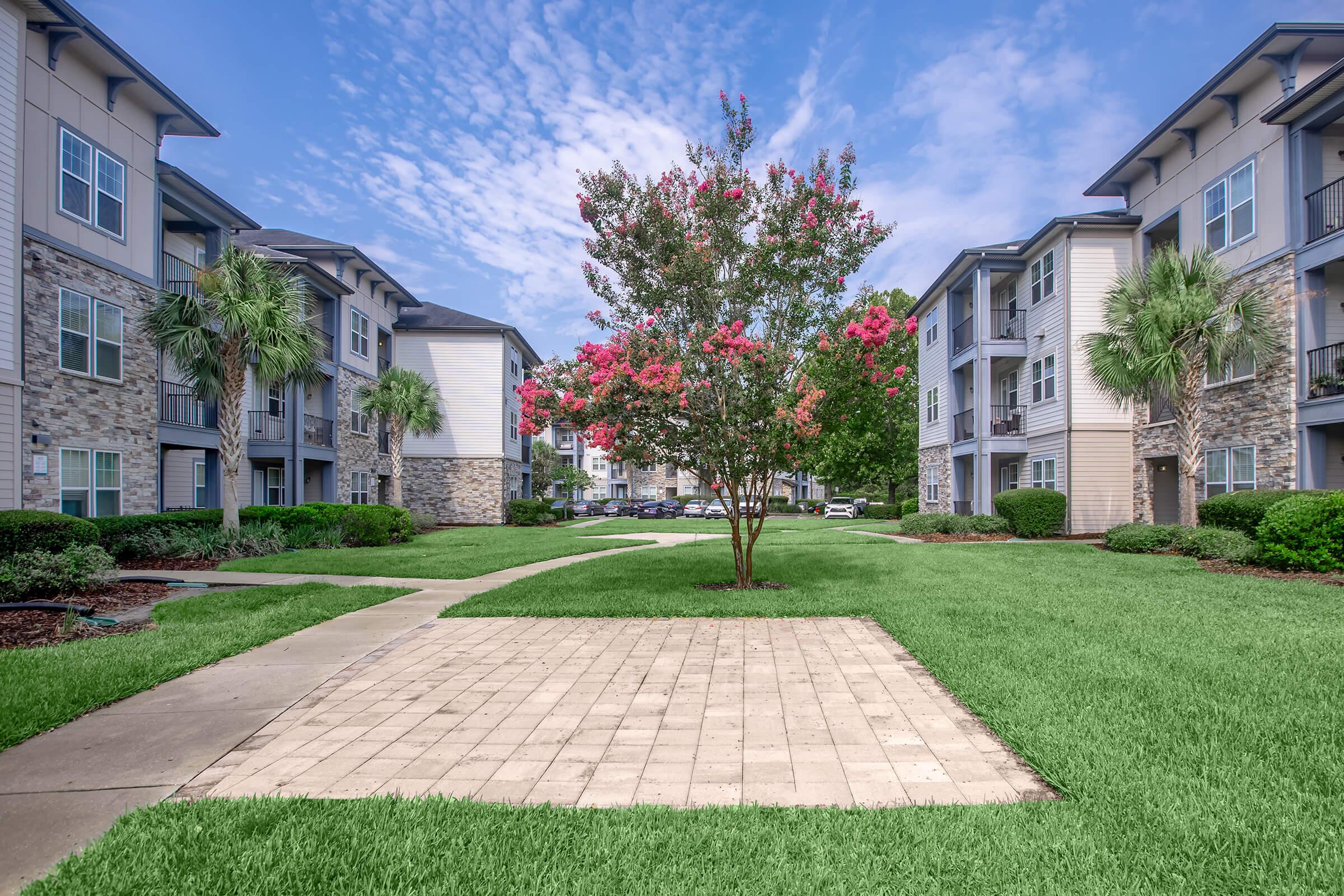 A landscaped courtyard in an apartment complex featuring a central flowering tree surrounded by green grass, concrete pathways, and buildings with stone and siding exteriors. The sky is bright with clouds, enhancing the inviting atmosphere of the outdoor space.