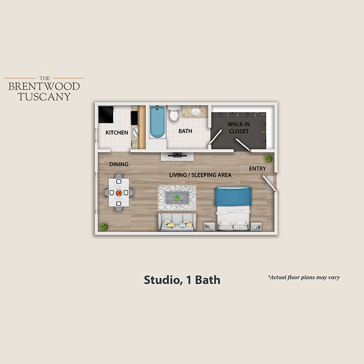 Floor plan image of Studio
