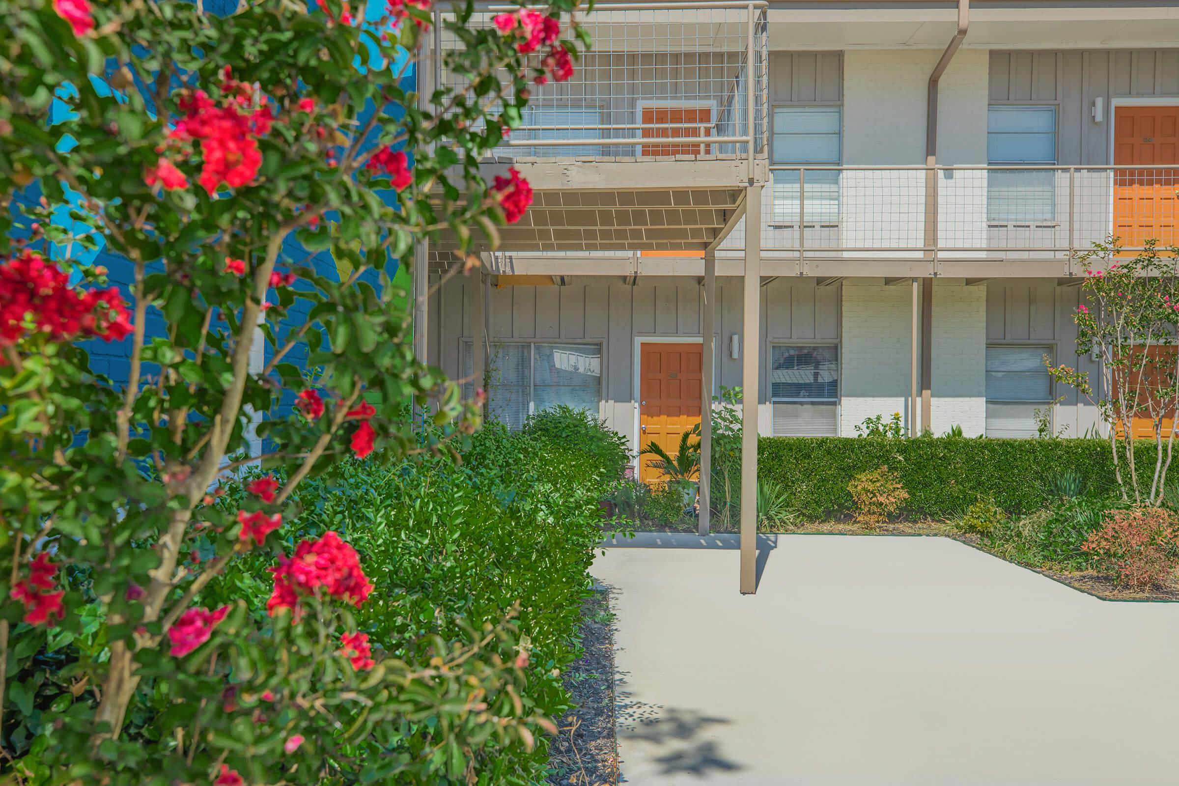 a close up of a flower garden in front of a building