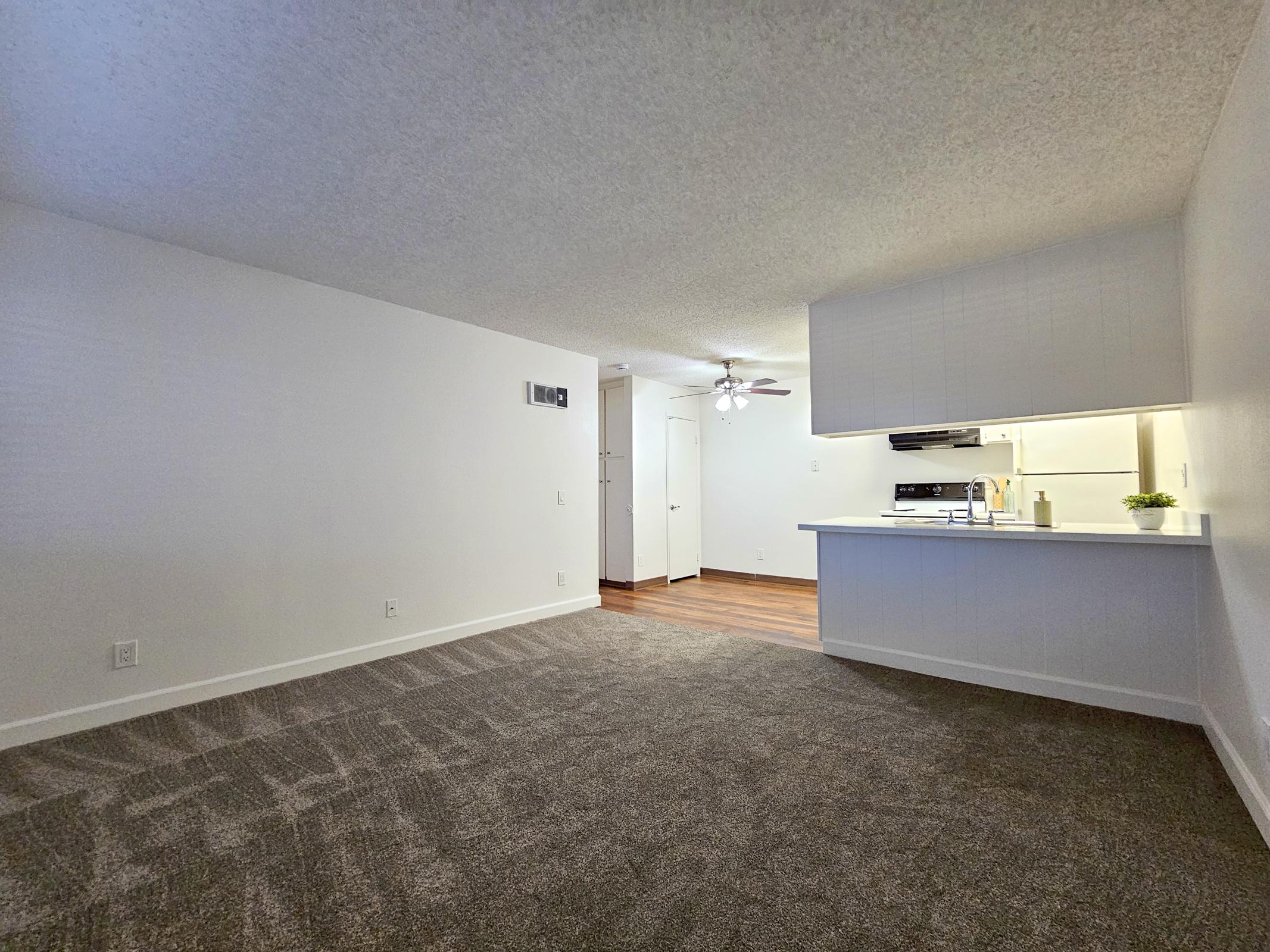 A spacious, empty living room with light beige carpet. There is a ceiling fan and a small kitchen area with a white countertop in the background. The walls are painted white, and there is a doorway leading to another room. Natural light fills the space, creating a bright and open atmosphere.