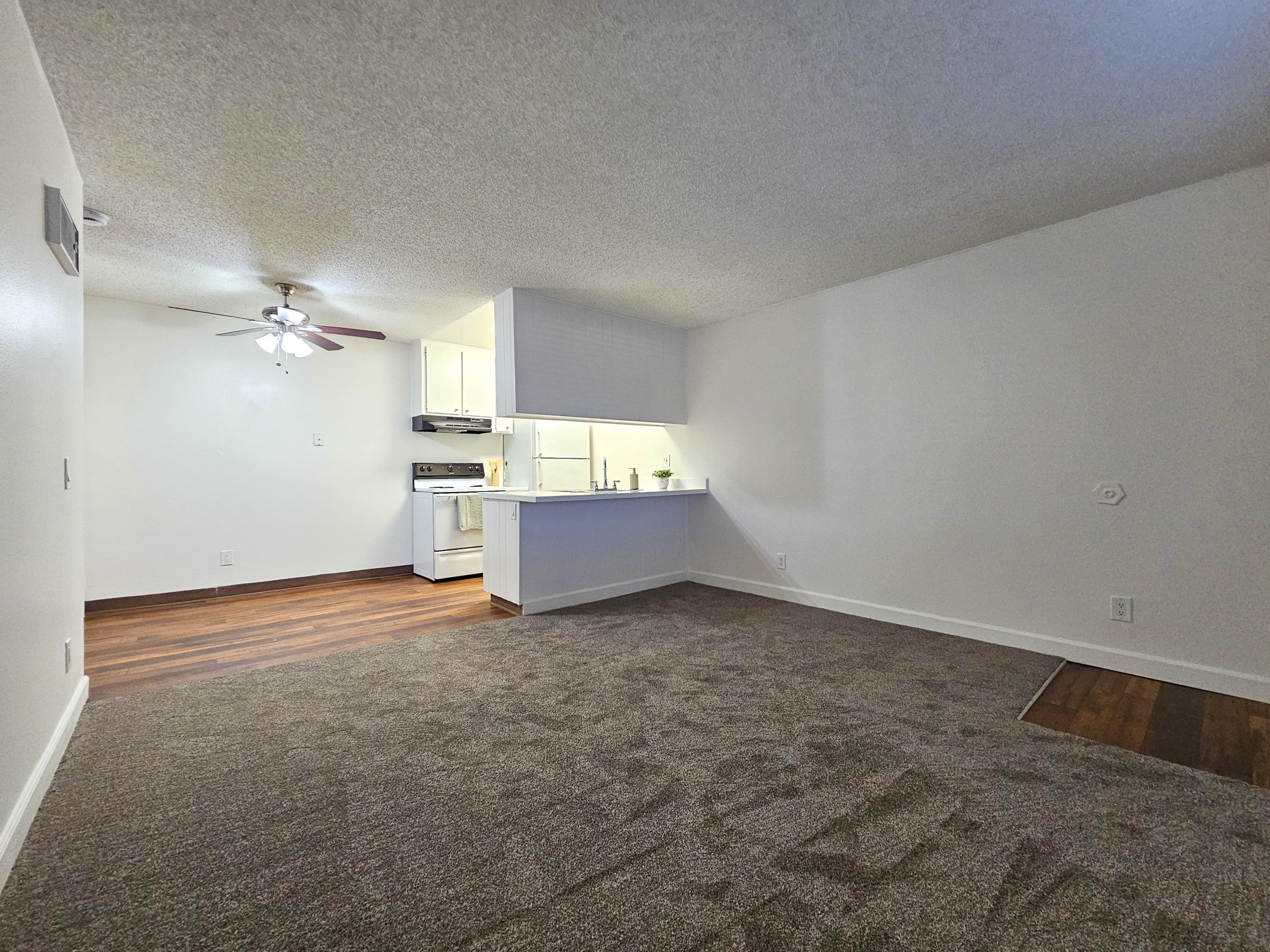 A spacious, light-filled living area featuring plush carpet and a ceiling fan. In the background, there is a kitchen with white cabinetry and appliances, visible through an open layout. The walls are painted in a neutral color, contributing to a fresh and modern atmosphere.
