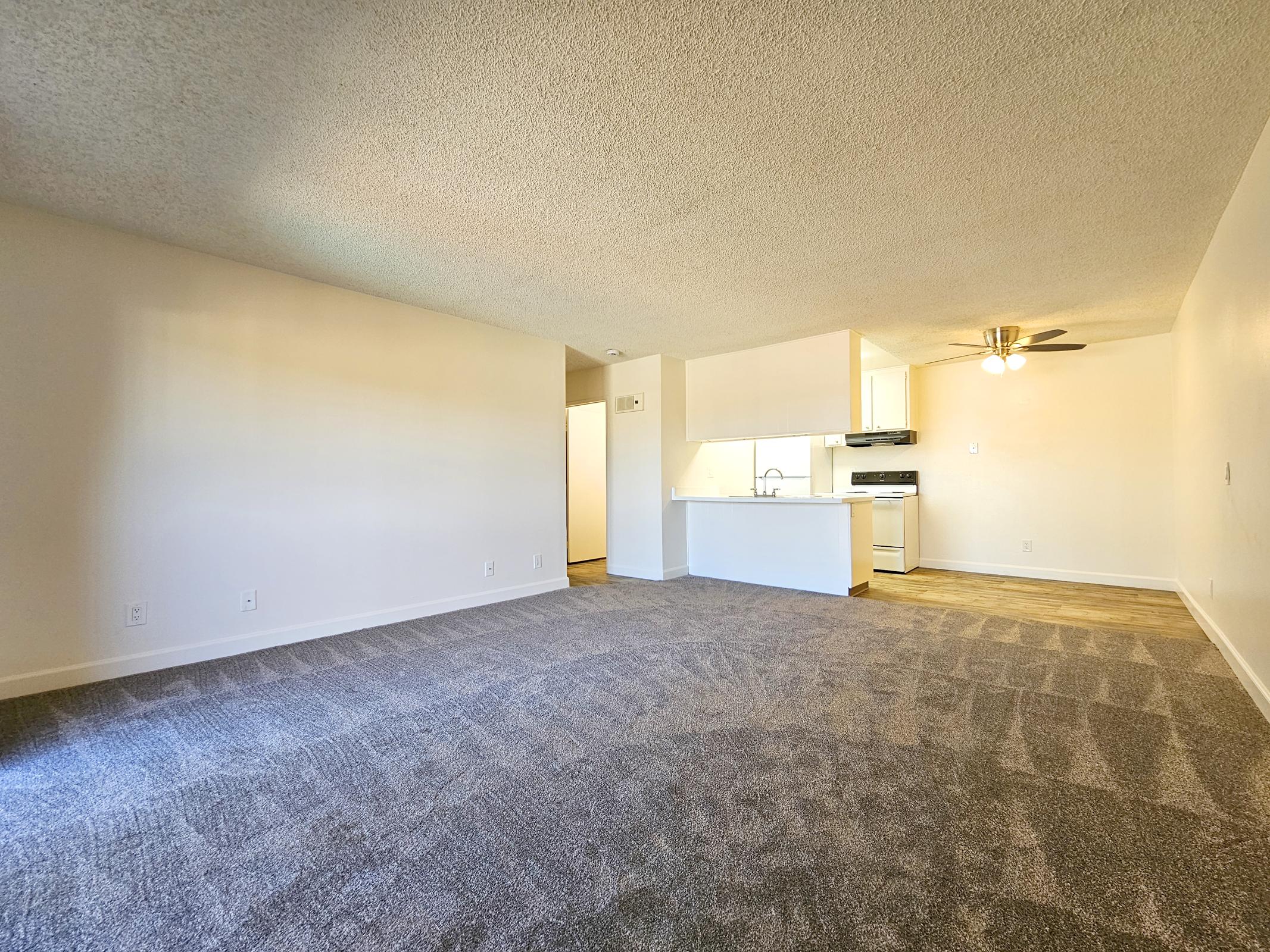 A spacious living area with freshly carpeted flooring, featuring a ceiling fan and an open layout leading to a kitchen with white cabinetry and appliances. The walls are light-colored, contributing to a bright and inviting atmosphere. Natural light fills the room from a nearby window.