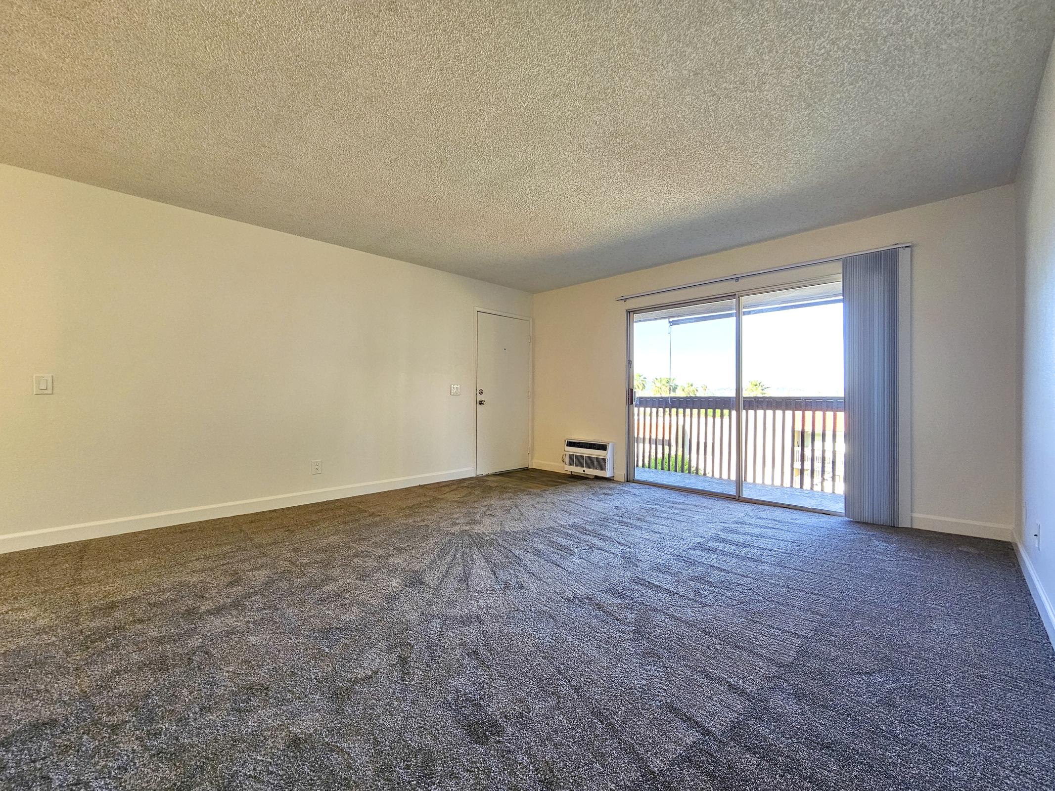 Spacious, empty living room with light gray carpet, a large window with sheer curtains, and a door leading to a balcony. The walls are painted a soft white, creating a bright and airy atmosphere. There is a heating unit visible on the floor near the window.