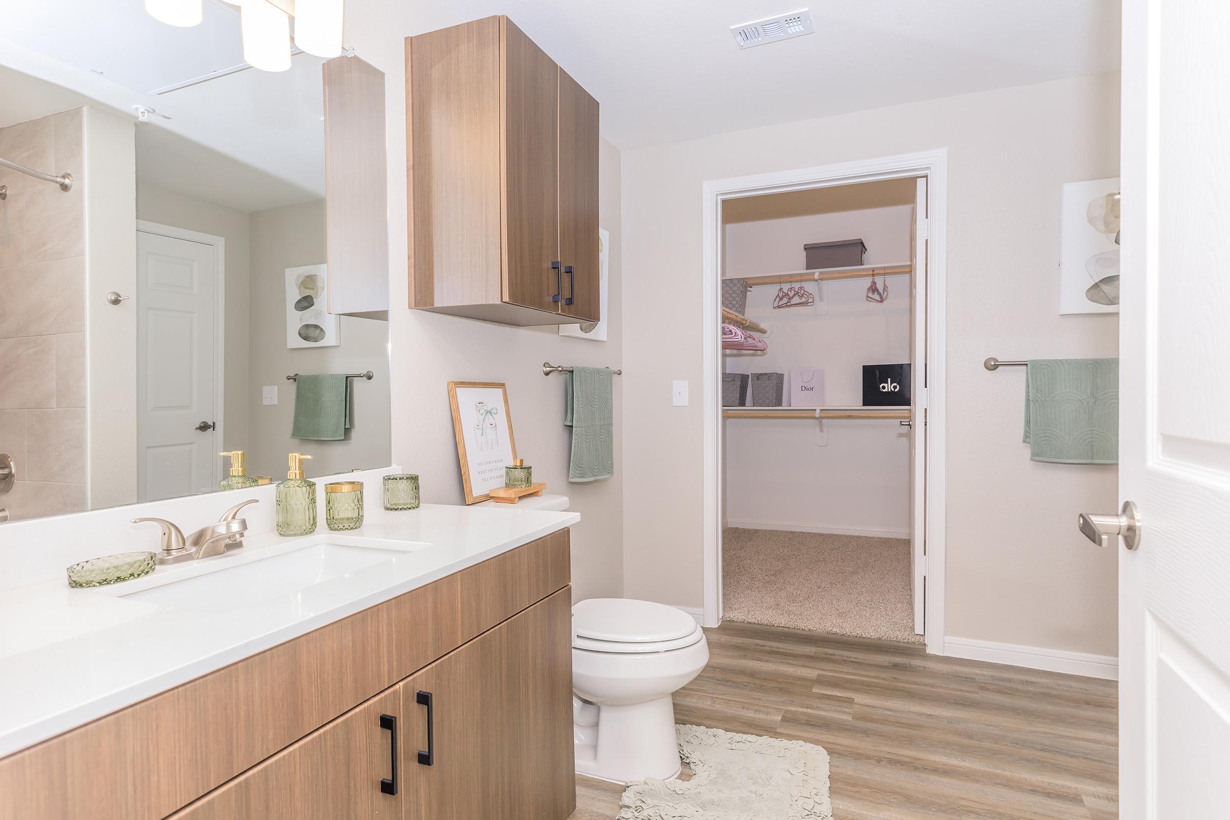 Modern bathroom featuring a light wood cabinetry, a white countertop, and a large mirror. The space includes decorative soap dispensers and towels in soft colors. A door leads to a closet with organized shelving. Neutral-colored walls and flooring create a clean, inviting atmosphere.