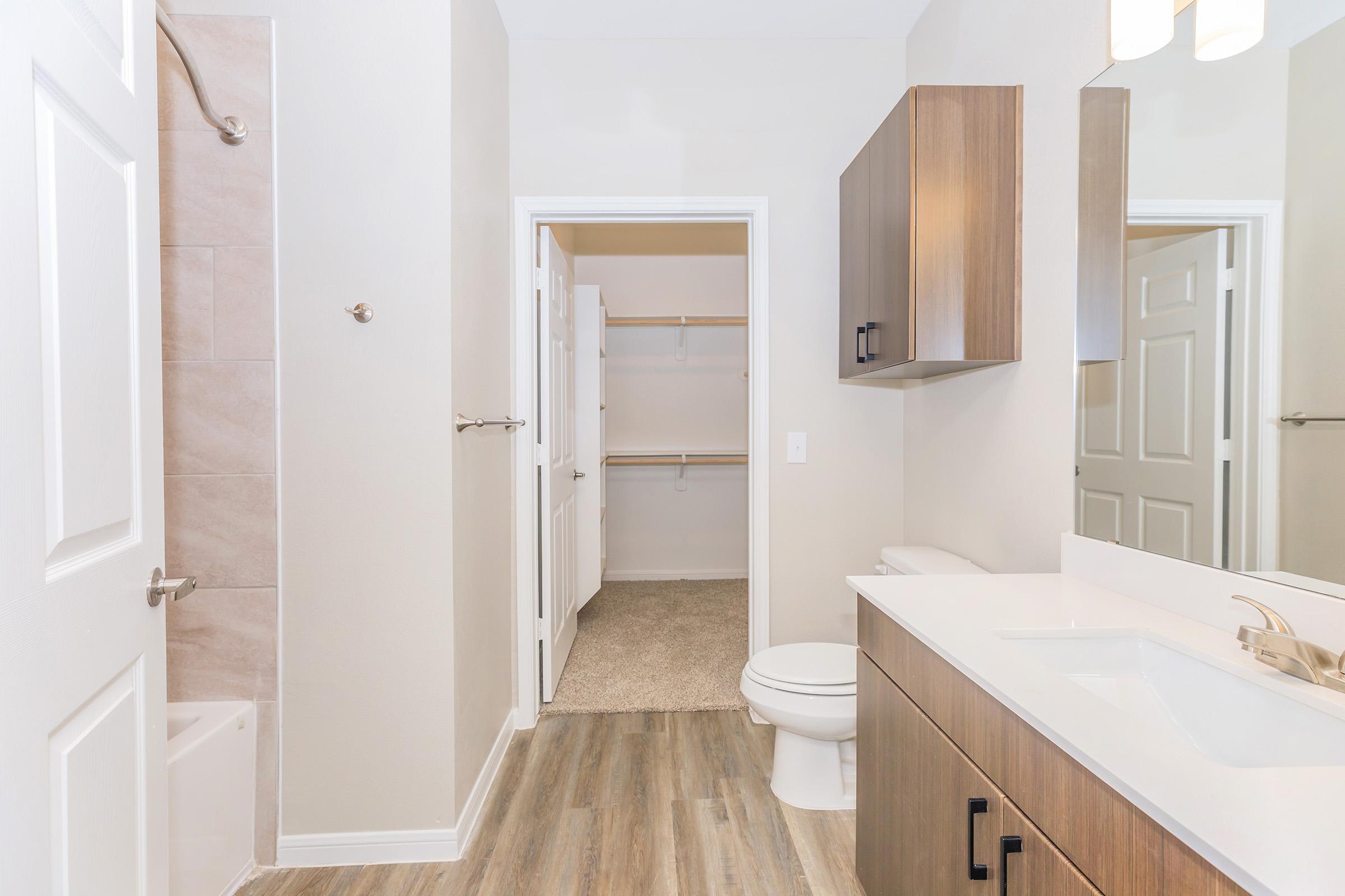A modern bathroom featuring a walk-in shower, a spacious vanity with a sink, and a large mirror. There is a toilet and a closet with sliding doors in the background. The flooring is a light wood style, and the walls are painted in a neutral color, creating a clean and airy atmosphere.
