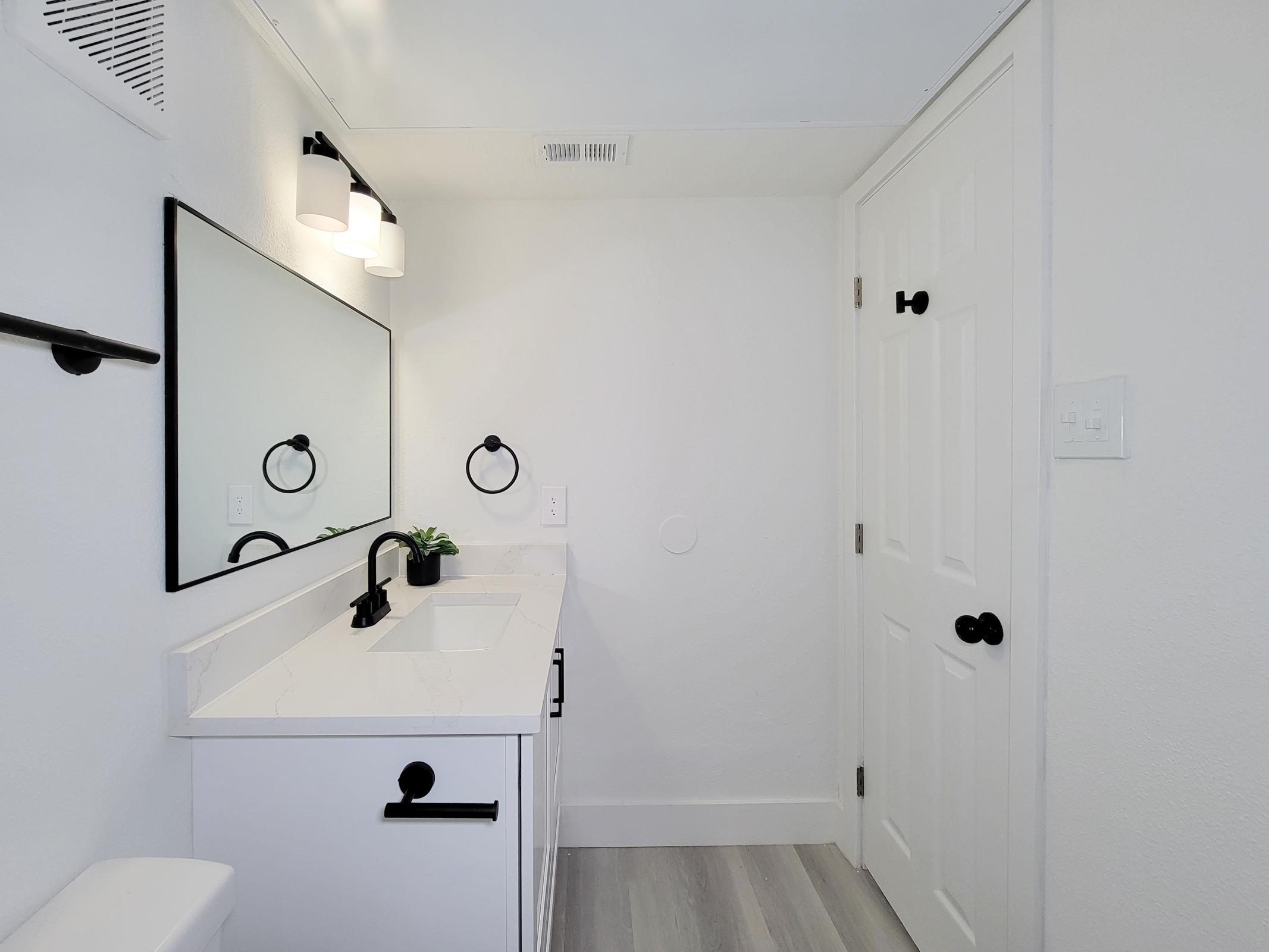 A modern bathroom featuring a white sink vanity with a black faucet, large mirror, and minimalist décor. The walls are painted white, and there is a door leading to another area. The floor has light gray planks, and a small plant adds a touch of greenery to the countertop.