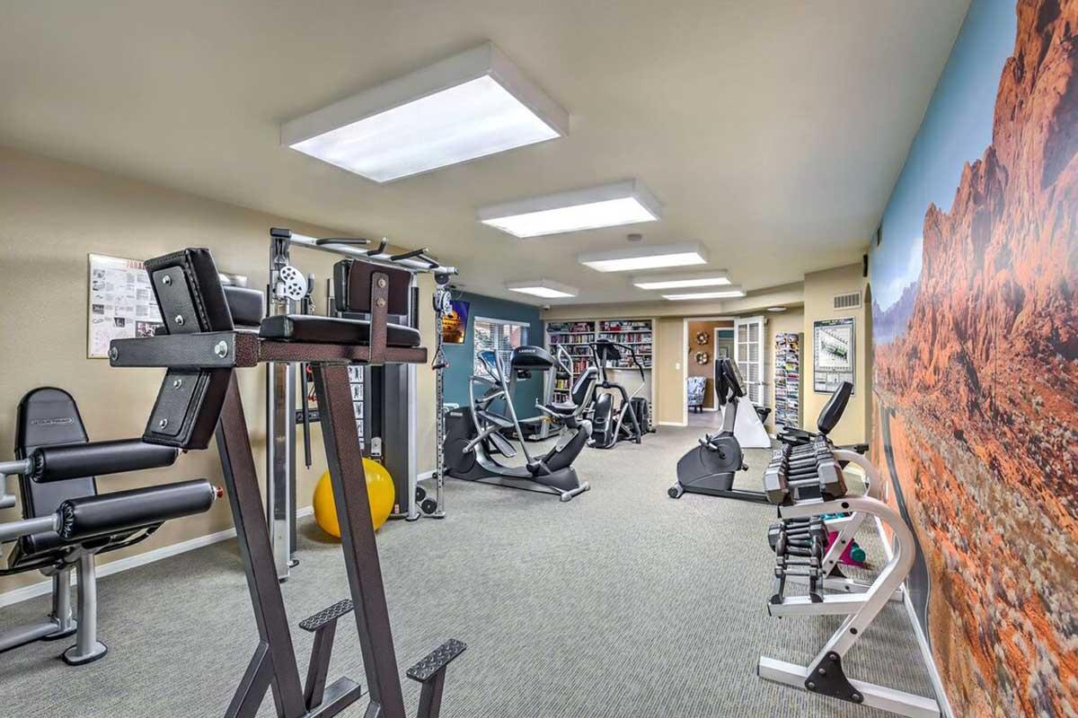 A modern home gym featuring various exercise equipment, including a multi-gym, stationary bike, elliptical machine, and weights. The room has neutral-colored walls and a large mural of a scenic landscape. Bright overhead lighting enhances the workout space.