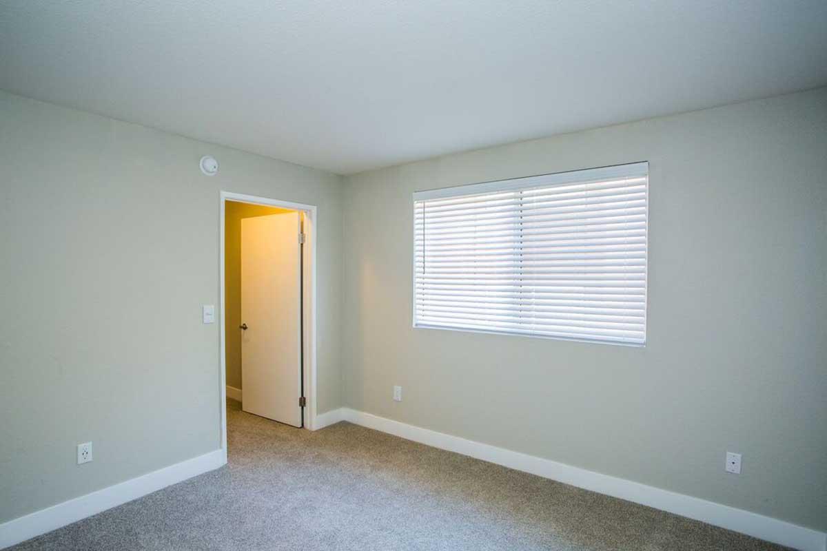 A clean and minimalistic room with light gray walls and plush carpet. There is a window with white blinds allowing natural light to enter. A door is visible on the left side, leading to another space. The room appears empty, suggesting it could be used for various purposes.