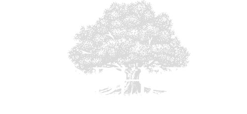 Woodhaven Townhomes ebrochure logo