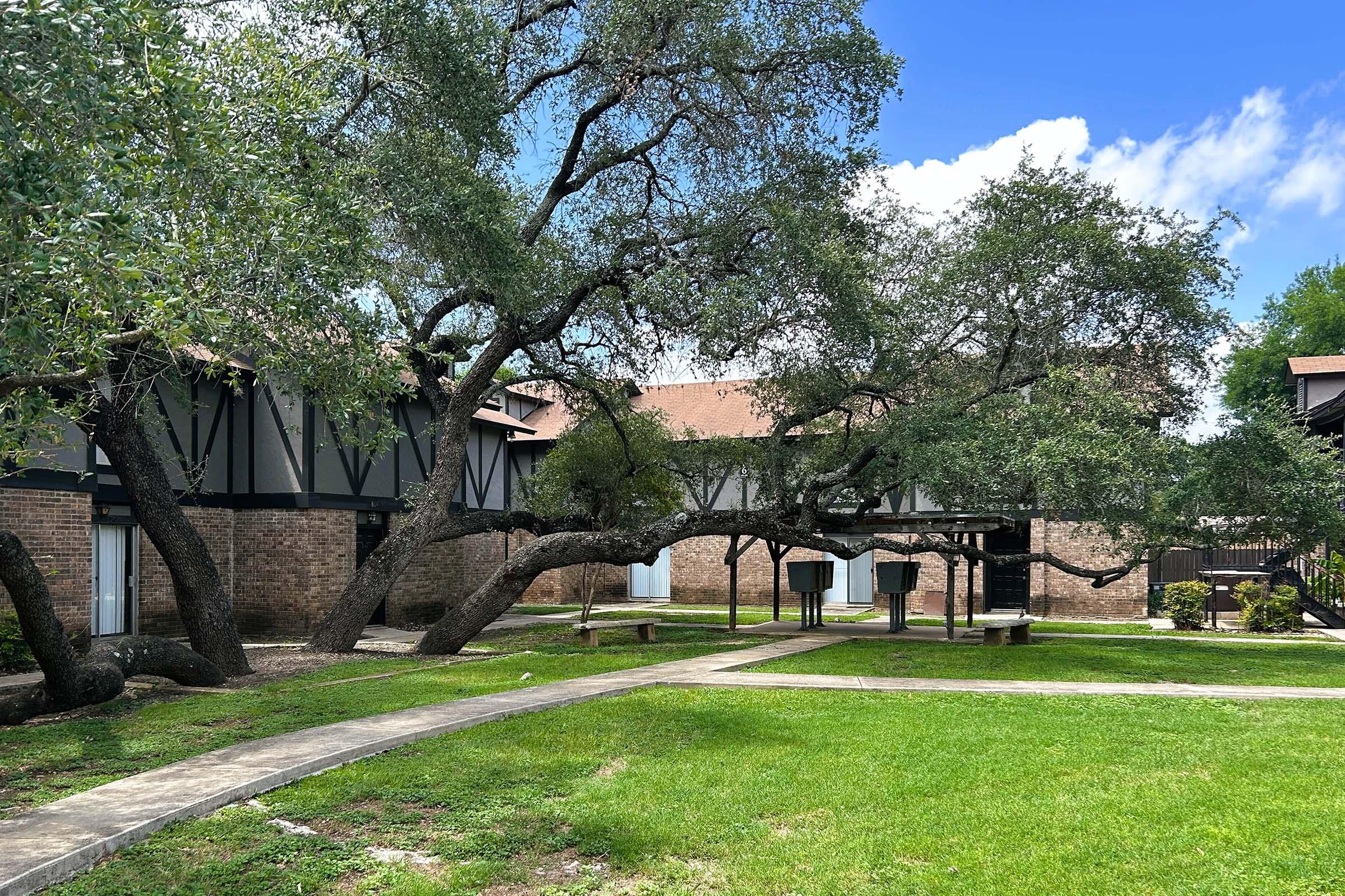 A well-maintained courtyard featuring green grass, pathways, and large trees with sprawling branches. The background includes buildings with a brick exterior and Tudor-style architecture against a clear blue sky with a few clouds.
