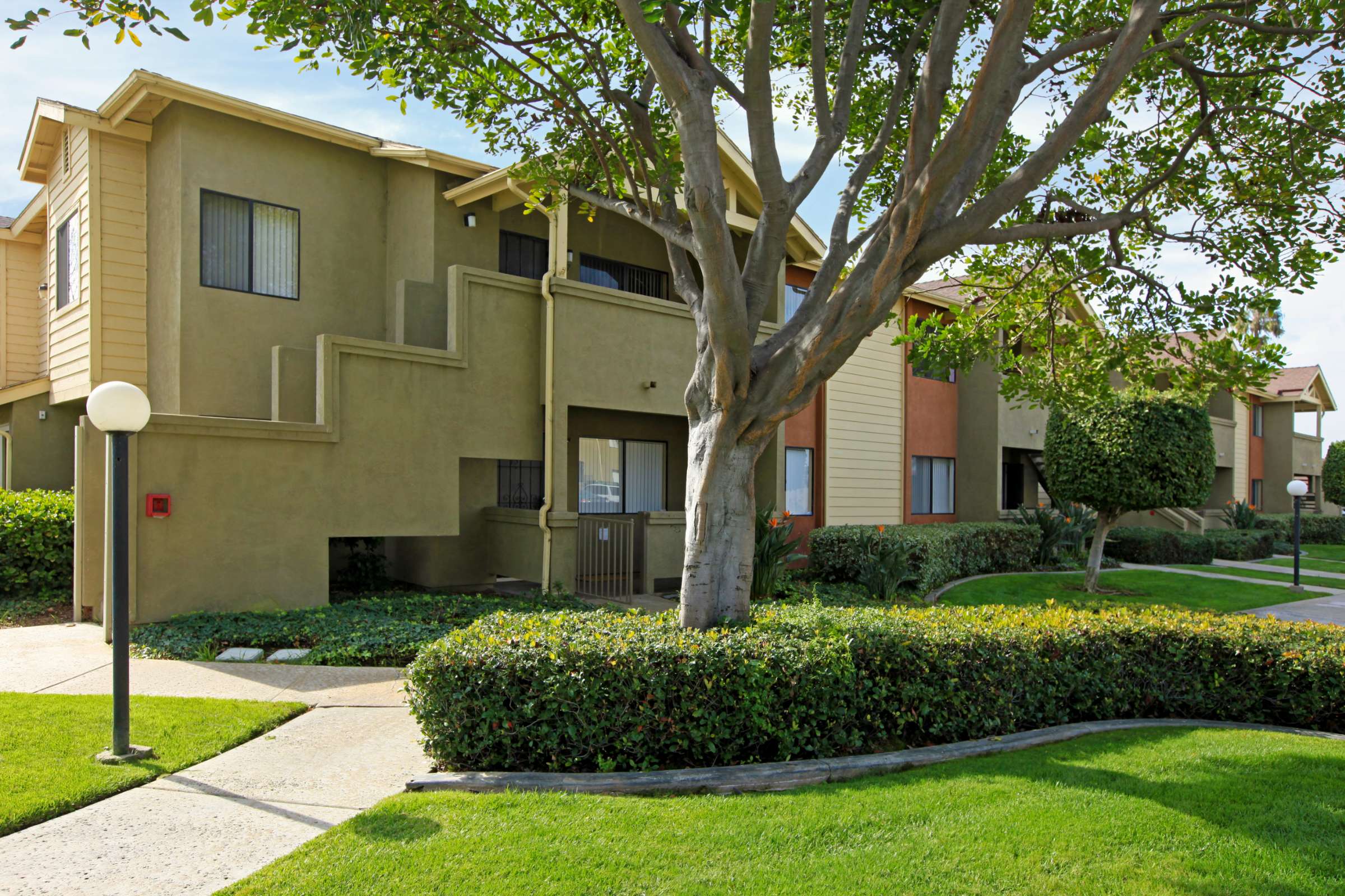 Windsong Apartments Amenities