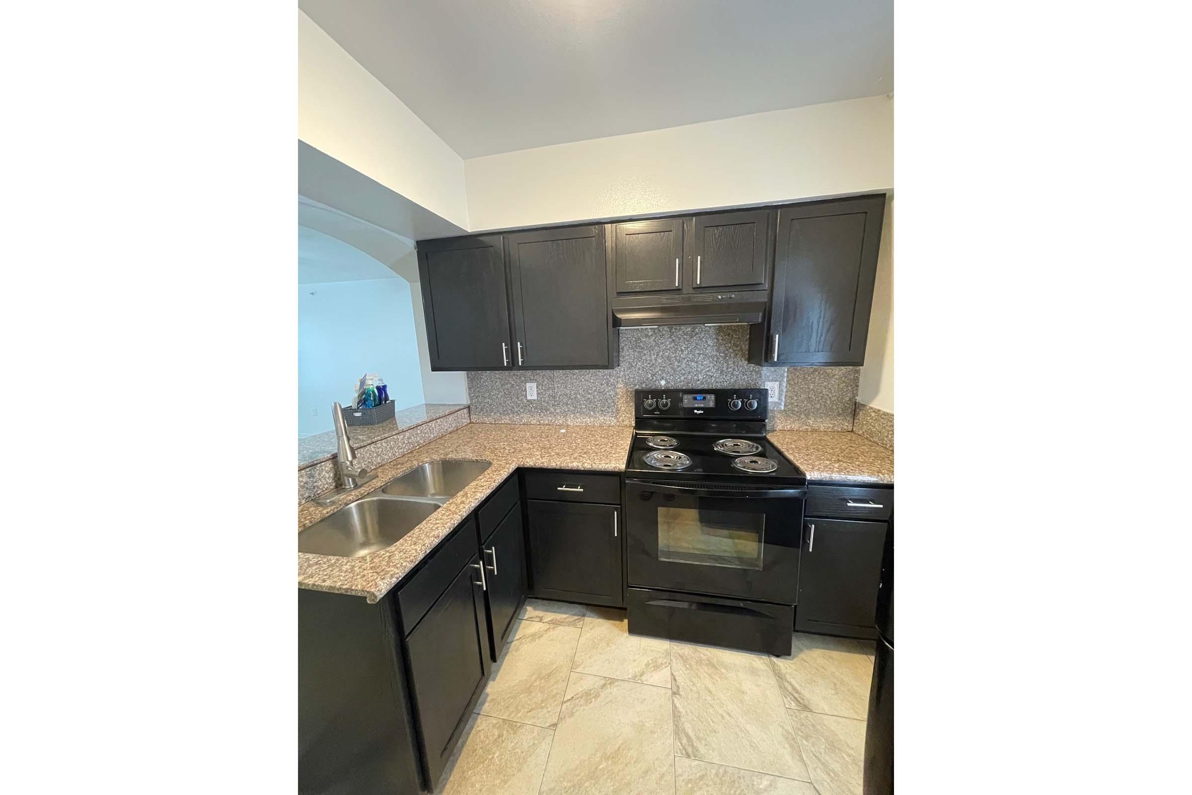 A modern kitchen featuring dark cabinetry, a granite countertop, a double sink, and a black stove and oven. The backsplash is a light-colored tile. Natural light is coming through a nearby archway, enhancing the kitchen's spacious feel.