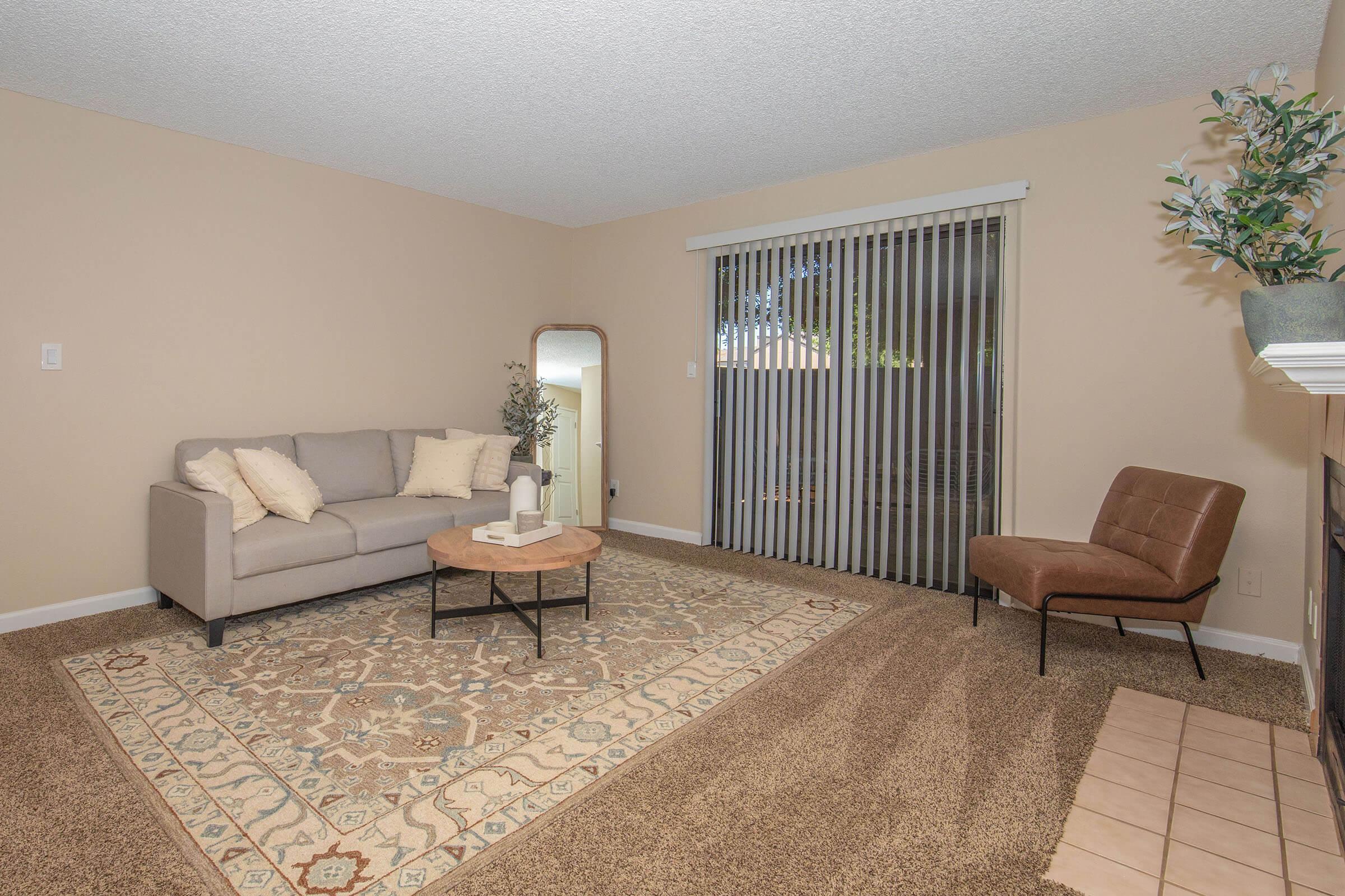 Cozy living room featuring a light gray sofa with pillows, a round wooden coffee table, and an armchair. A large decorative area rug covers the carpeted floor, and vertical blinds cover a window. A mirror is positioned against the wall, reflecting the soft natural light in the space.