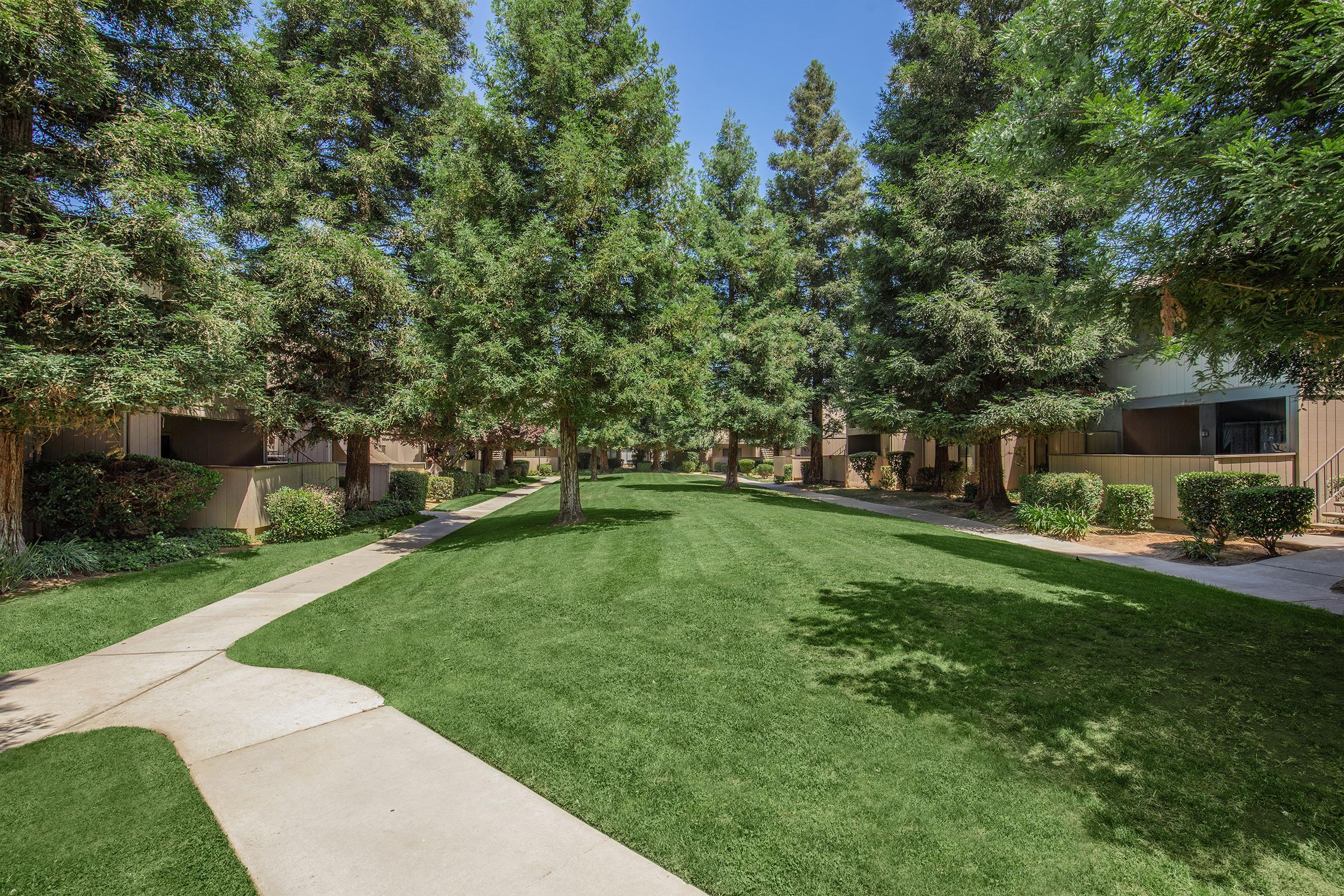 Lush green landscape featuring a well-maintained pathway lined with tall trees, leading through an apartment complex. The scene captures a bright, sunny day with clear blue skies, highlighting the peaceful outdoor environment.