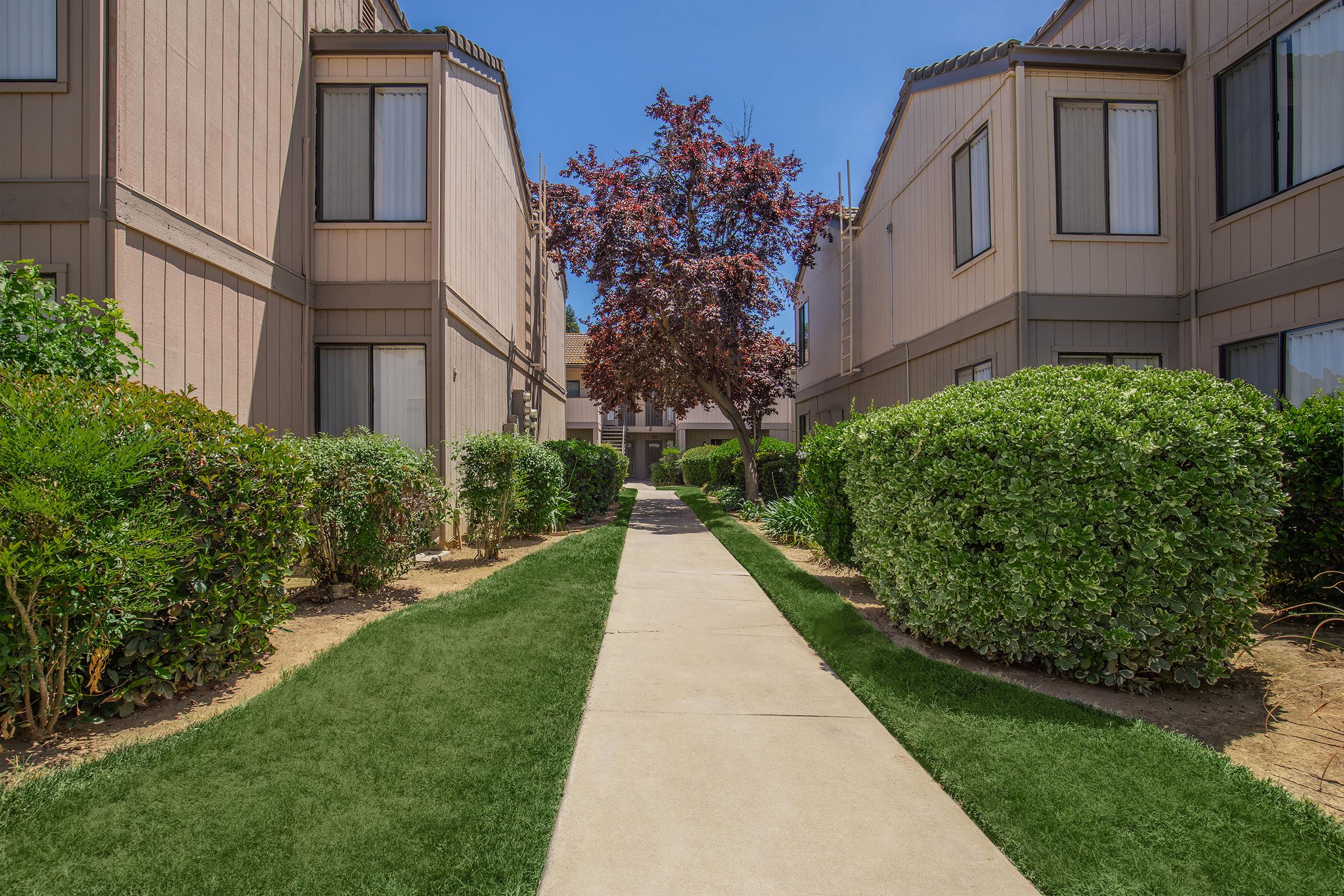 A sunny pathway lined with well-trimmed hedges leads between two apartment buildings. In the center, a vibrant red tree adds color to the scene. The walkway is bordered by neatly maintained grass, creating a serene and inviting atmosphere.