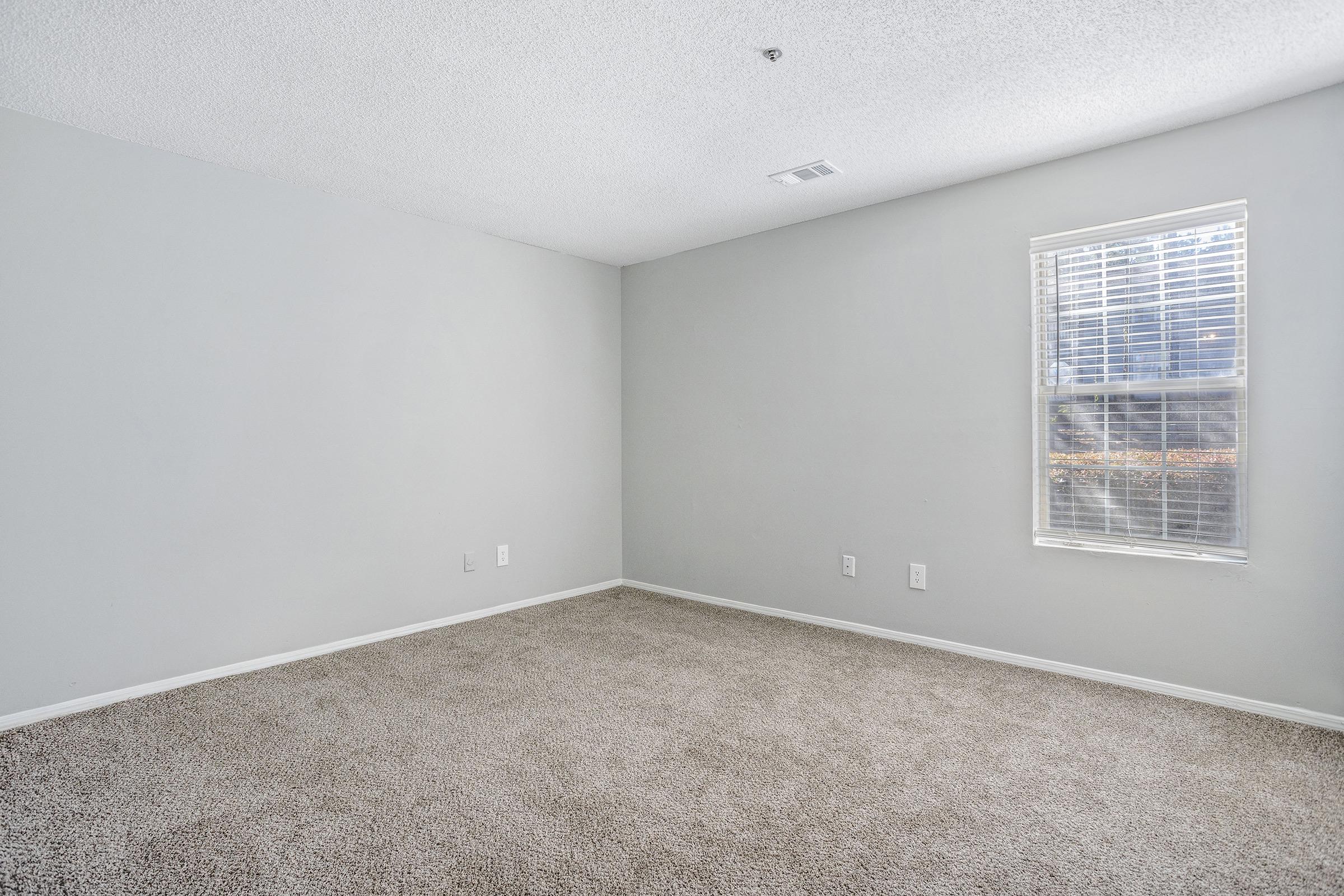 Empty room with light gray walls and a carpeted floor. A window on the right allows natural light to enter, but the view outside is not visible. The space is uncluttered, offering a blank canvas for decoration or furniture placement.