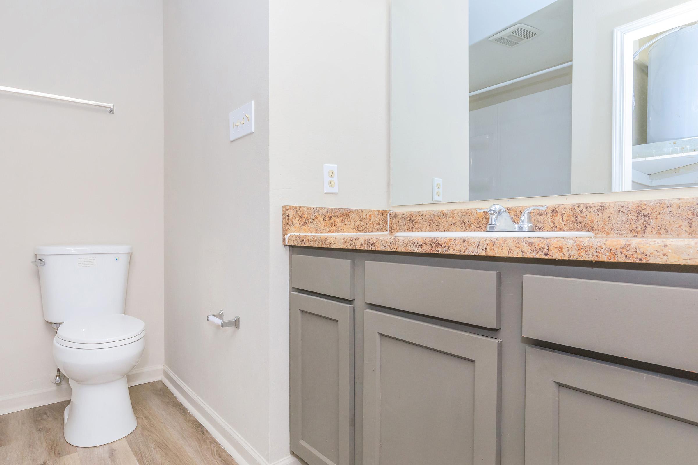 A clean, well-lit bathroom featuring a white toilet, a double sink with a granite countertop, and gray cabinetry. A large mirror is mounted above the sinks, and a shower area is visible in the background. The floor is finished with light-colored wood or laminate.