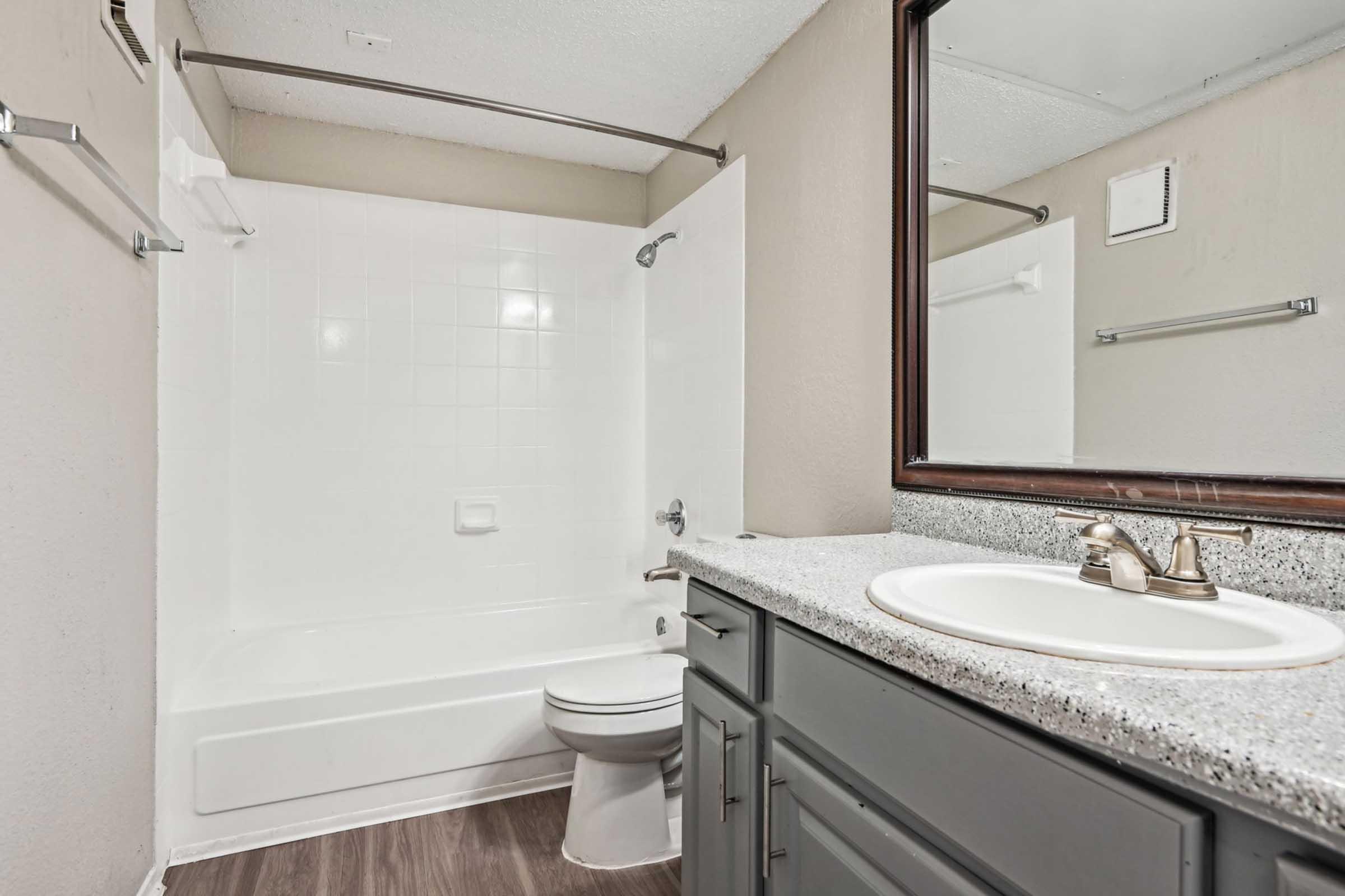 a shower that has a sink and a mirror