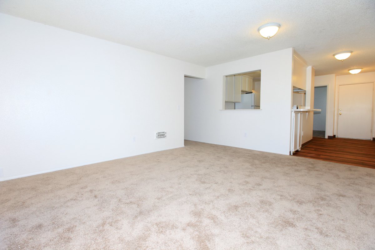 Apartment Features