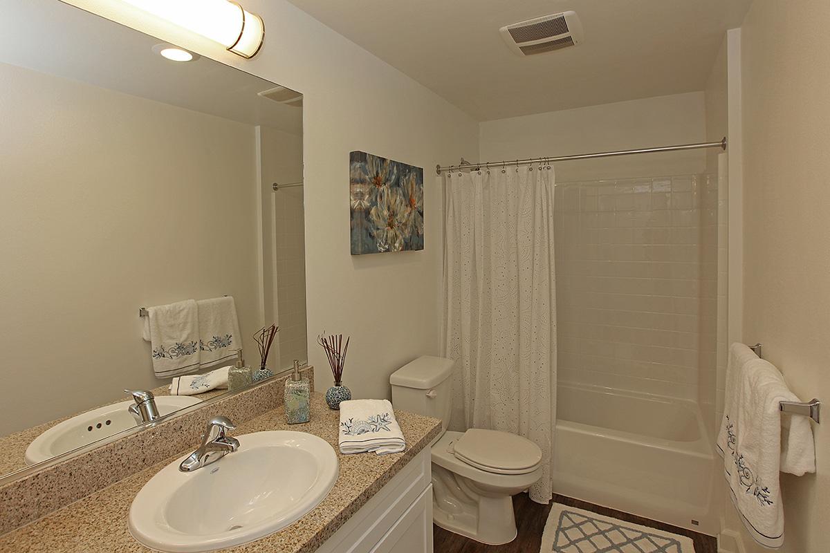 a white sink sitting under a mirror