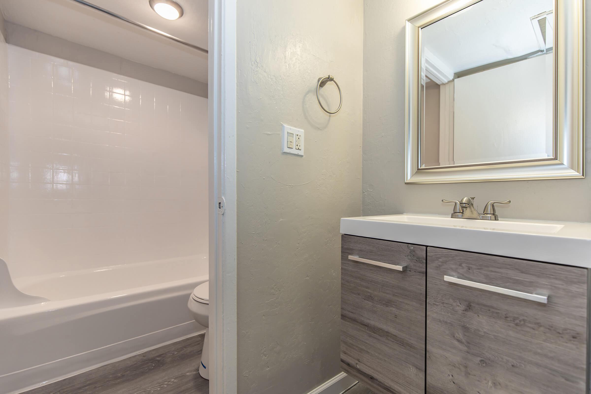 a shower that has a sink and a mirror