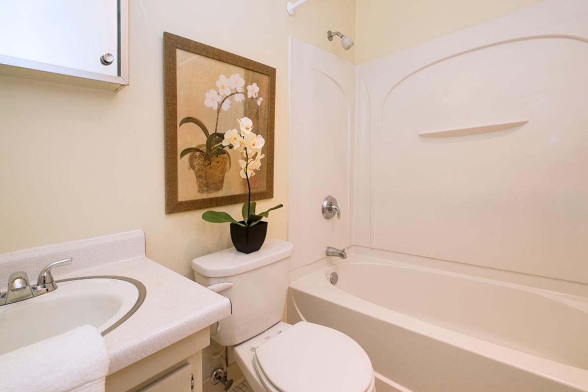 Bathroom 2.jpg