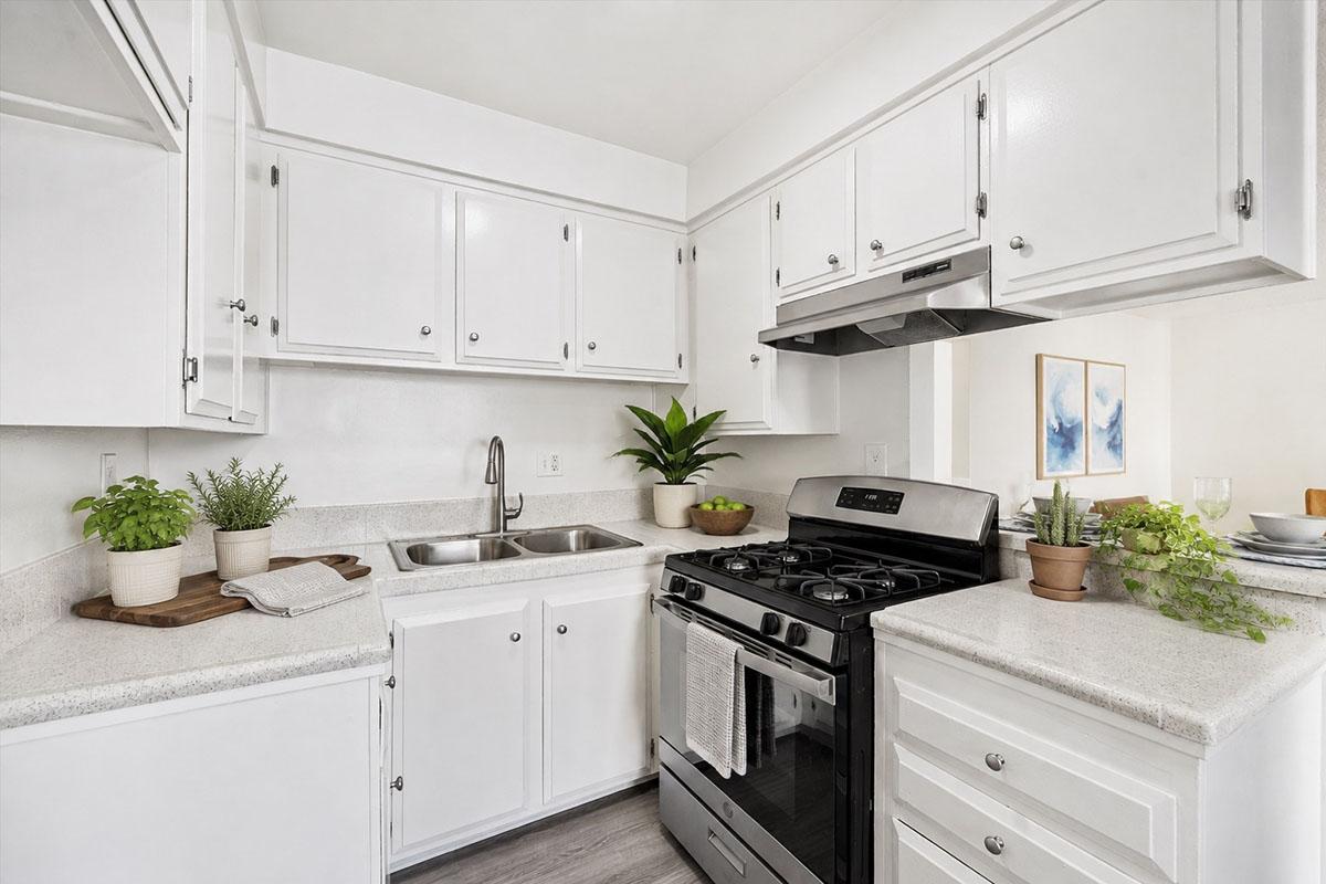 A modern kitchen featuring white cabinetry, a stainless steel sink, and a black gas stove. There are potted plants on the counter and shelves, enhancing the decor. The countertop is light-colored, and there are minimalistic wall art pieces in the background, creating an inviting atmosphere.