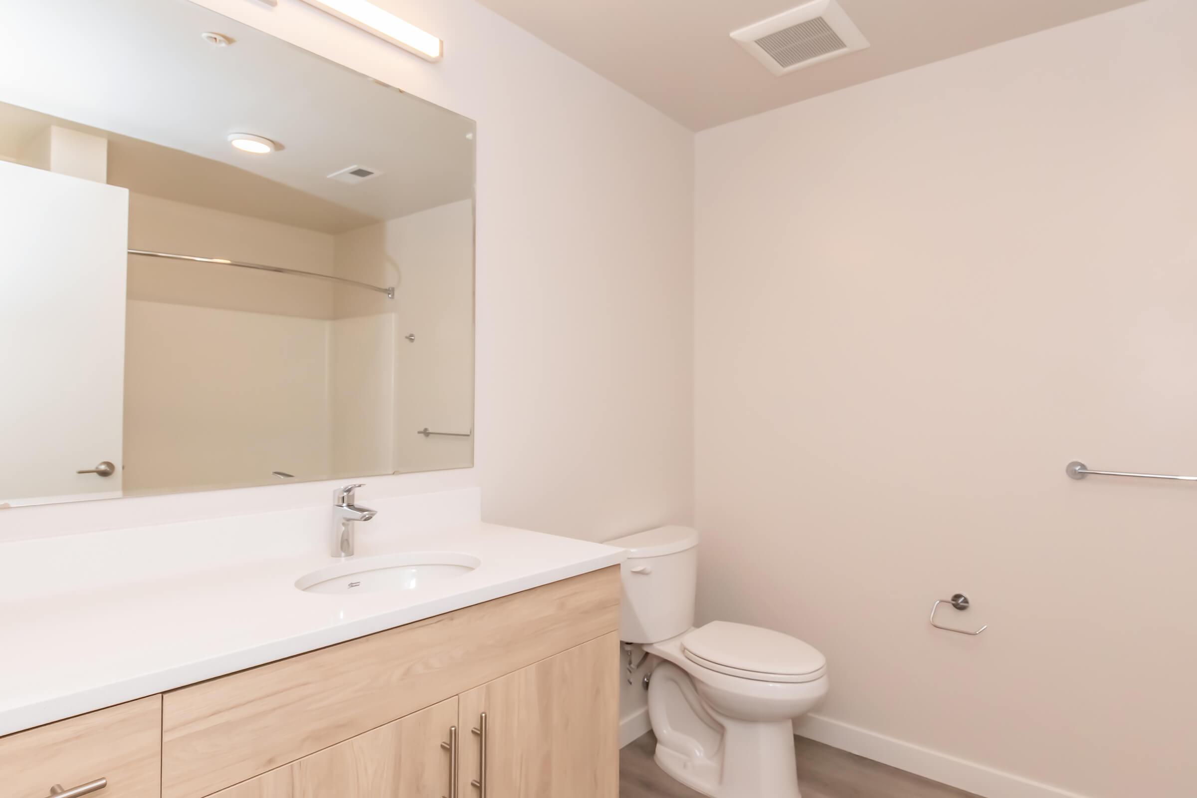 A modern bathroom featuring a wooden vanity with a sink, a large mirror above it, a toilet, and minimalistic decor. The walls are painted in light colors and there is a shower area visible in the background, creating a clean and spacious appearance.