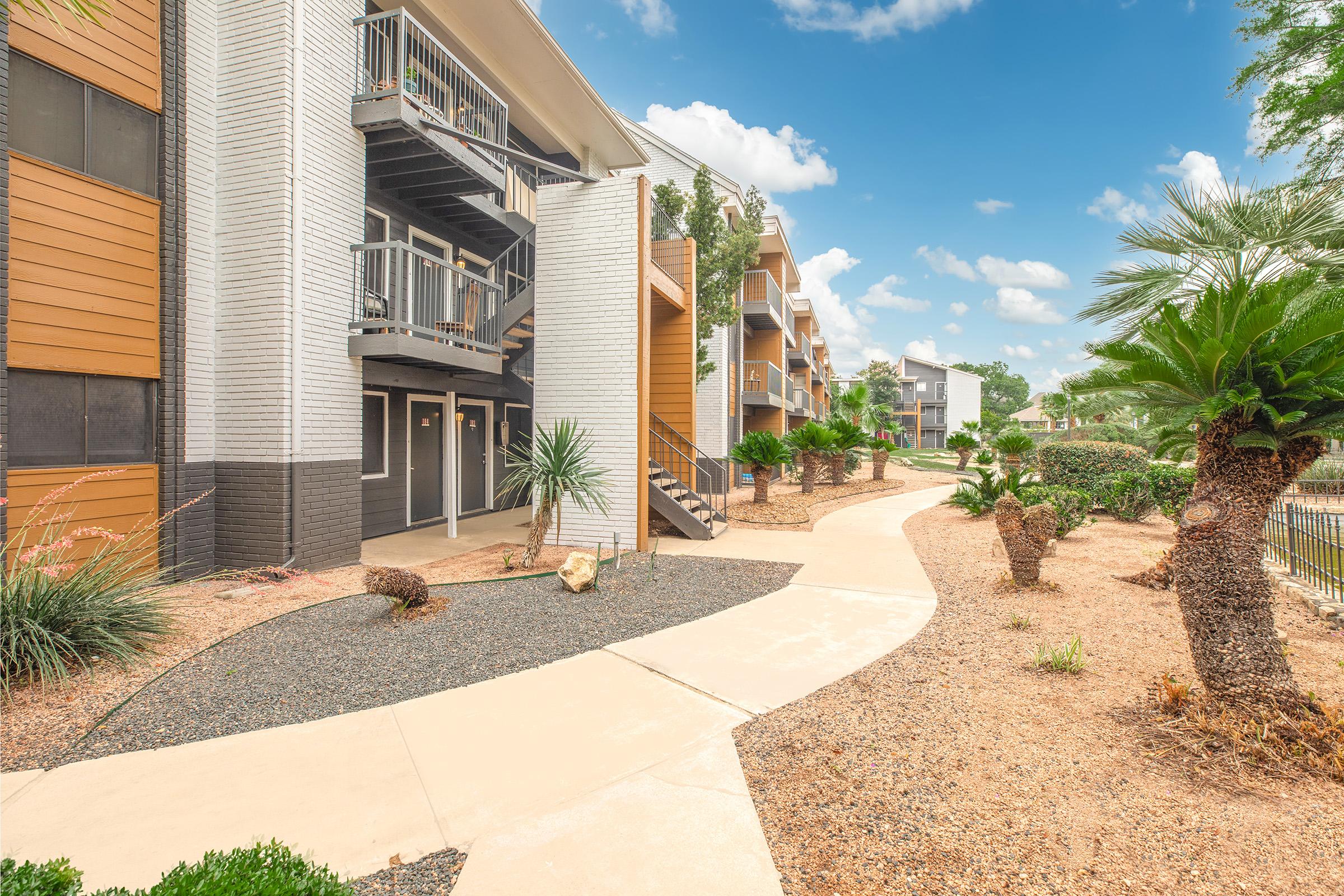 a path with trees on the side of a building