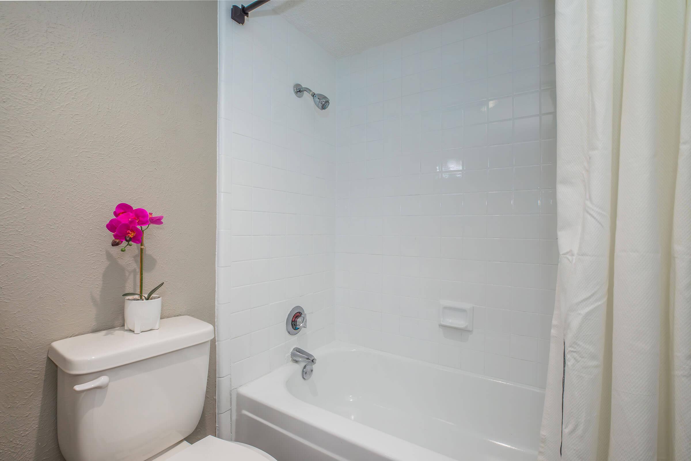 a shower that has a sink and a mirror