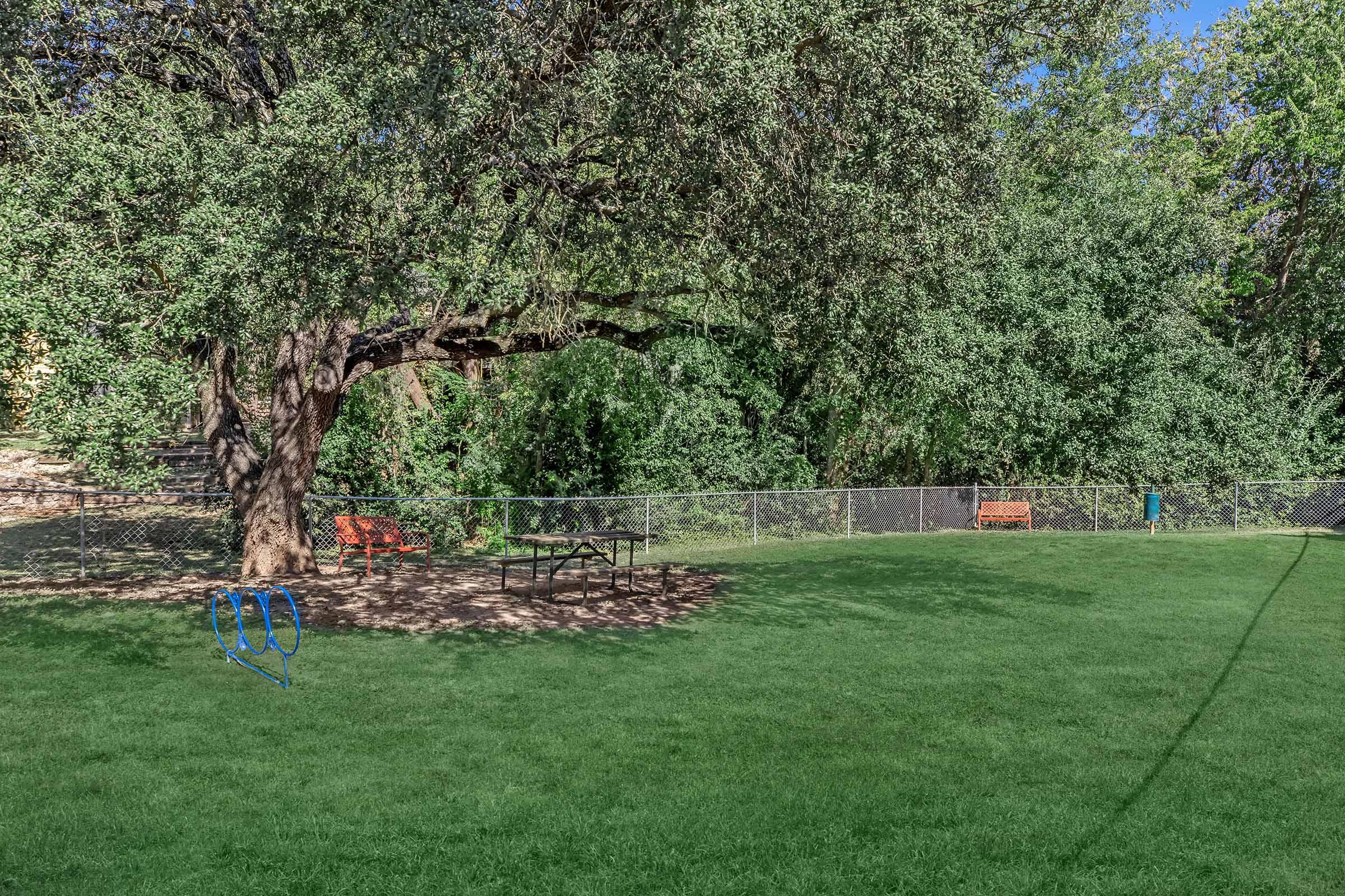 A spacious green park area features a large, mature tree providing shade. Beneath the tree, there are picnic tables and a blue agility training equipment. A fence surrounds the area, with benches visible in the background, surrounded by lush greenery.