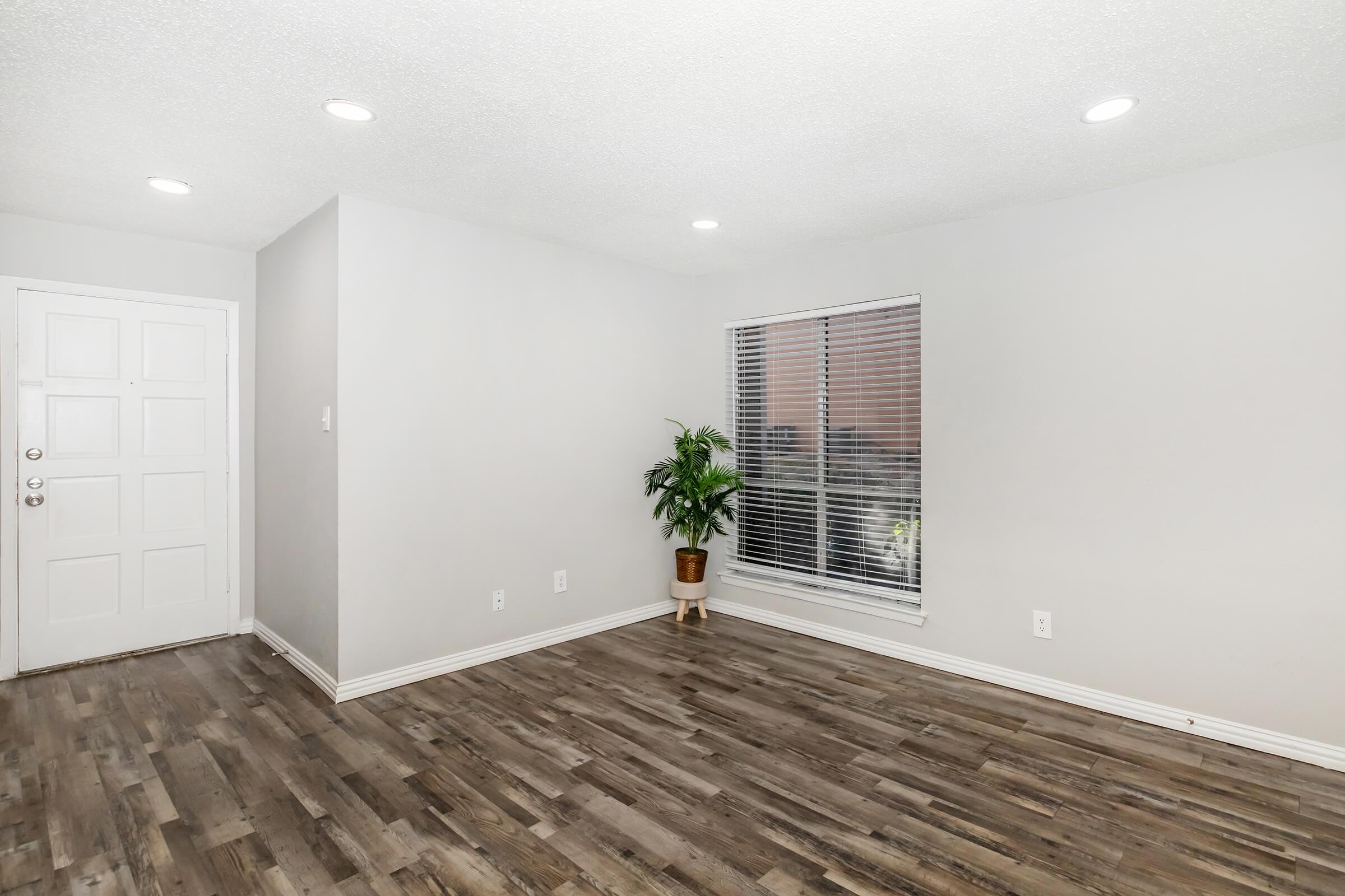 A brightly lit, empty room with light gray walls and a large window covered by blinds. There's a small indoor plant in a pot near the window and a white door on the left. The floor is made of laminate wood, giving the space a clean, modern look.