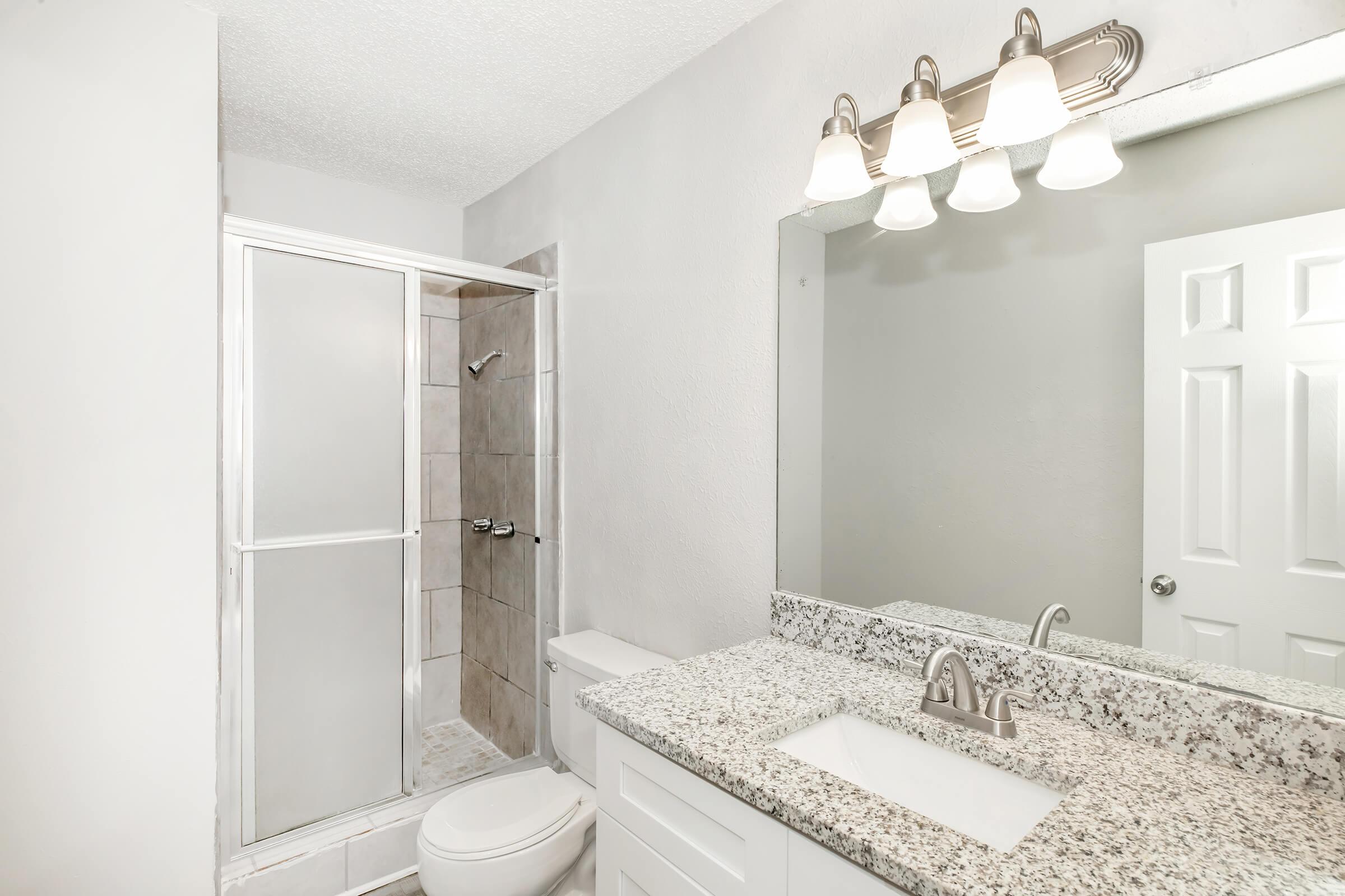 A modern bathroom featuring a shower stall with glass doors, a vanity with a white countertop, and a large mirror above the sink. The walls are painted light gray, complementing the neutral tiles and fixtures. A toilet is located beside the vanity, providing a clean and organized space.