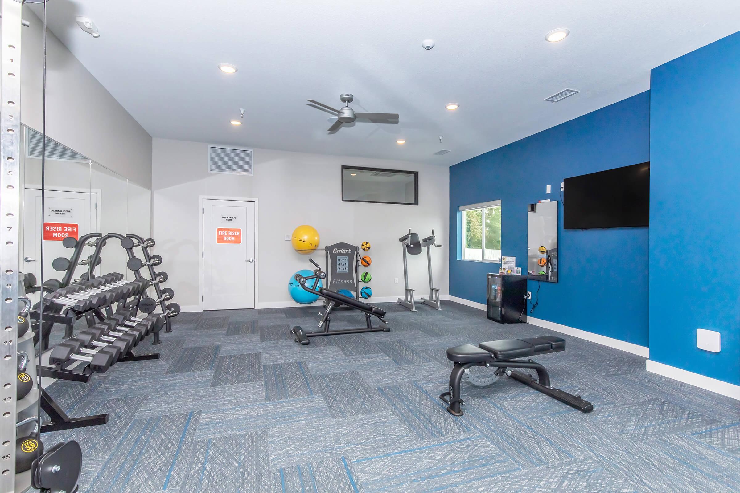 A modern gym space featuring a variety of free weights on a rack, a bench press, exercise balls, and various fitness equipment. The walls are painted in blue, and there's a large window providing natural light. A ceiling fan and a wall-mounted TV are present, enhancing the workout environment.
